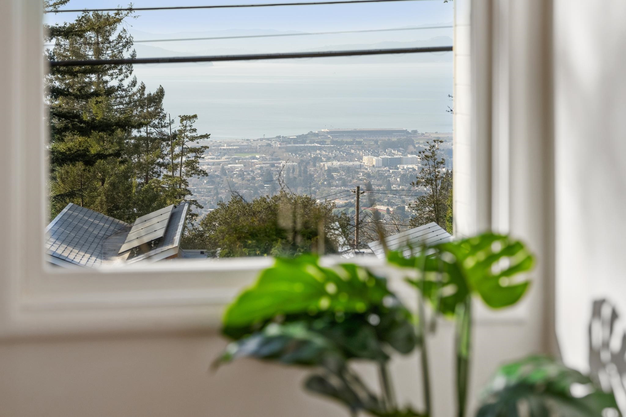 Detail Gallery Image 6 of 60 For 209 Fairlawn Drive, Berkeley,  CA 94708 - 3 Beds | 2 Baths