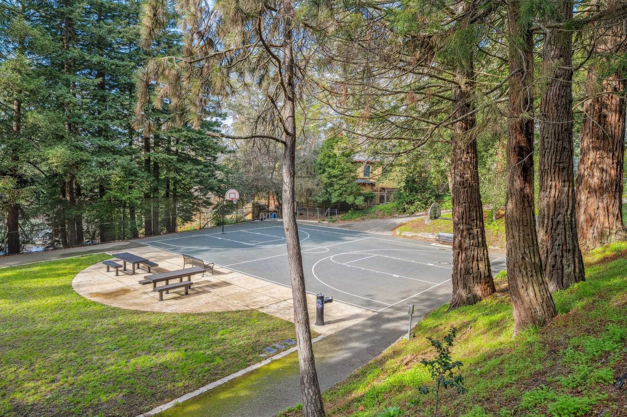 Detail Gallery Image 55 of 60 For 209 Fairlawn Drive, Berkeley,  CA 94708 - 3 Beds | 2 Baths