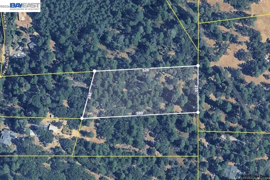 Front Image Thumbnail for BE41121238