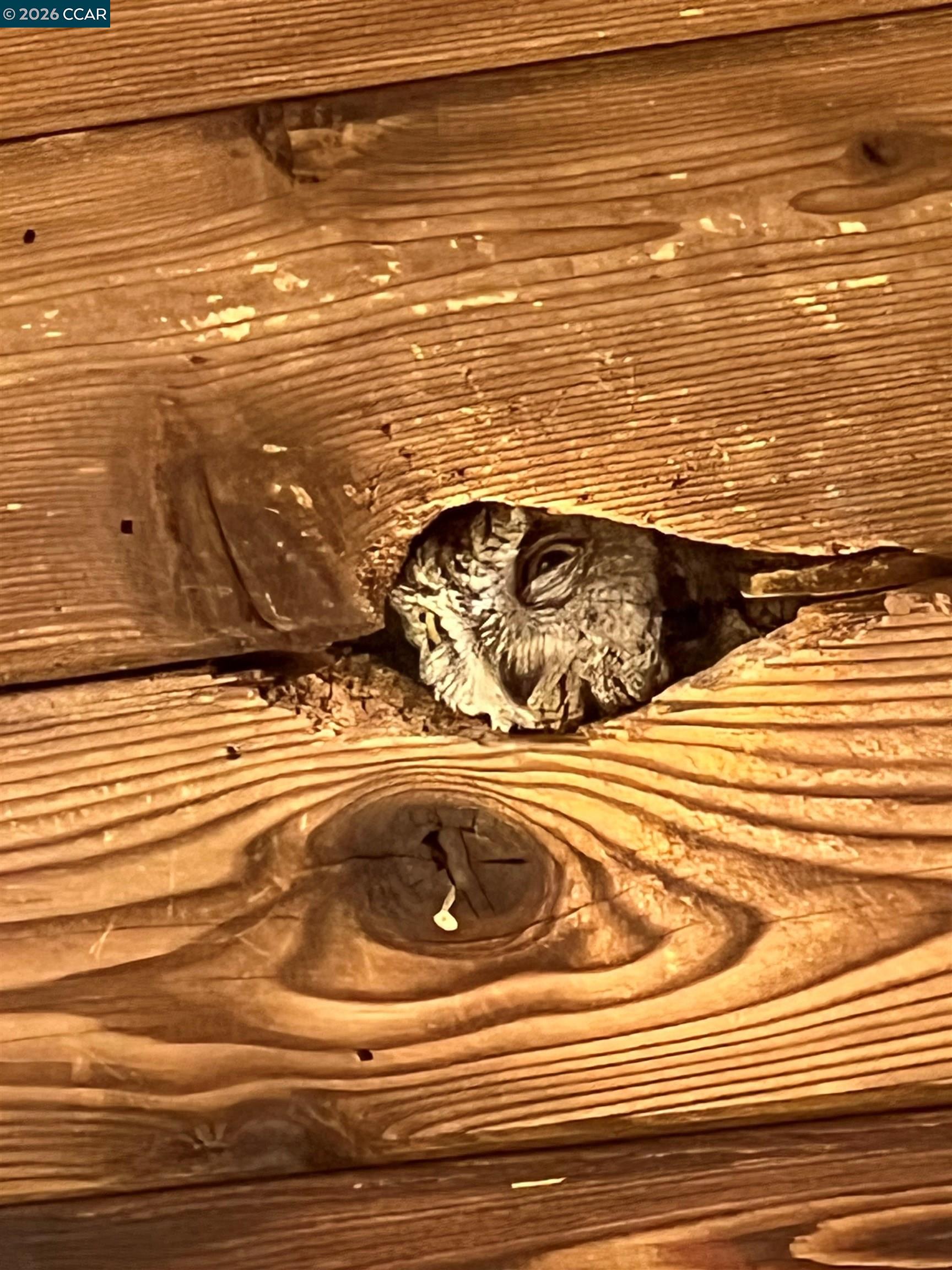 Detail Gallery Image 36 of 36 For 130 Hillcroft Way, Walnut Creek,  CA 94597 - 4 Beds | 3/1 Baths