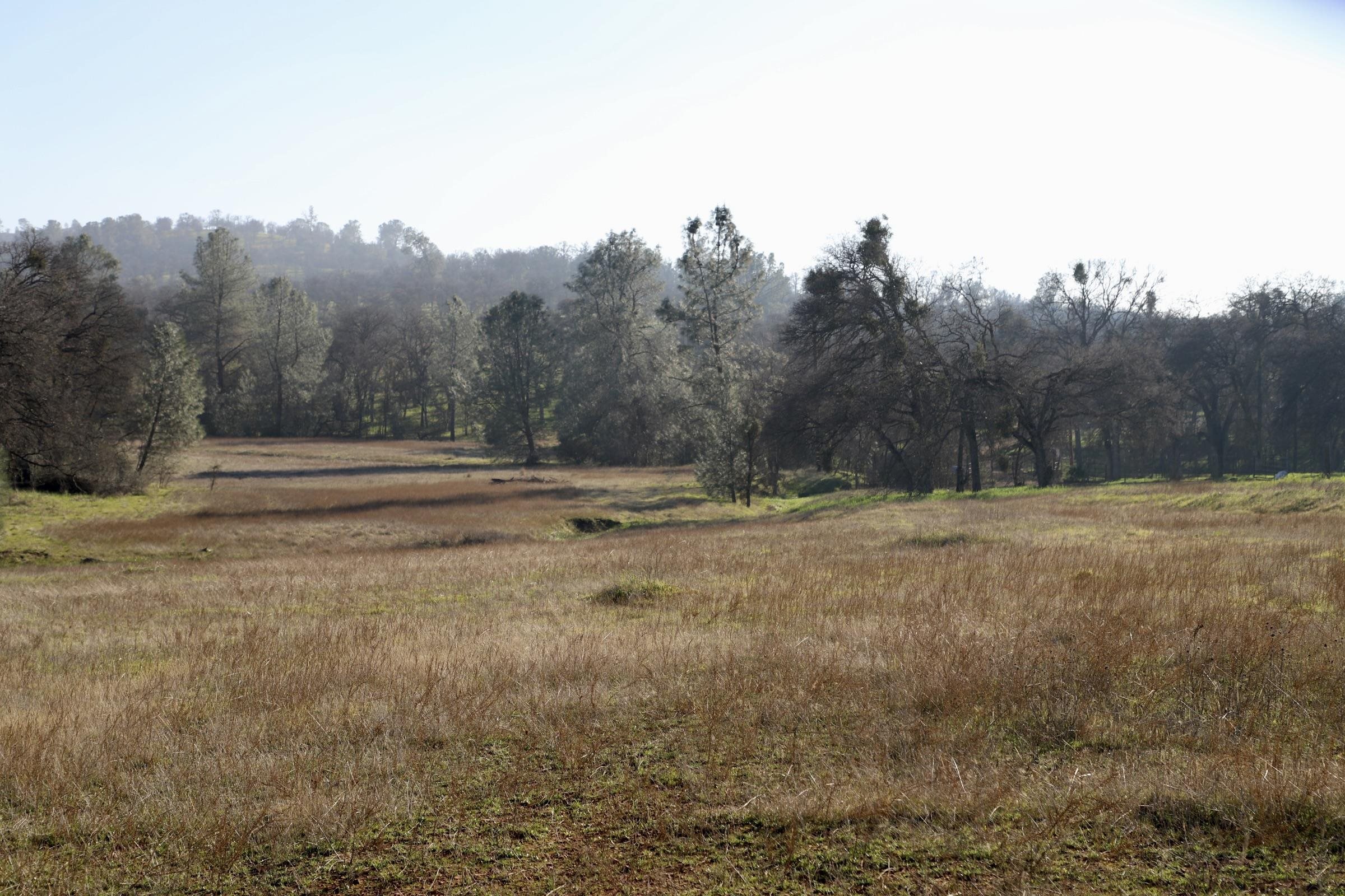 Front Image Thumbnail for EB41121316