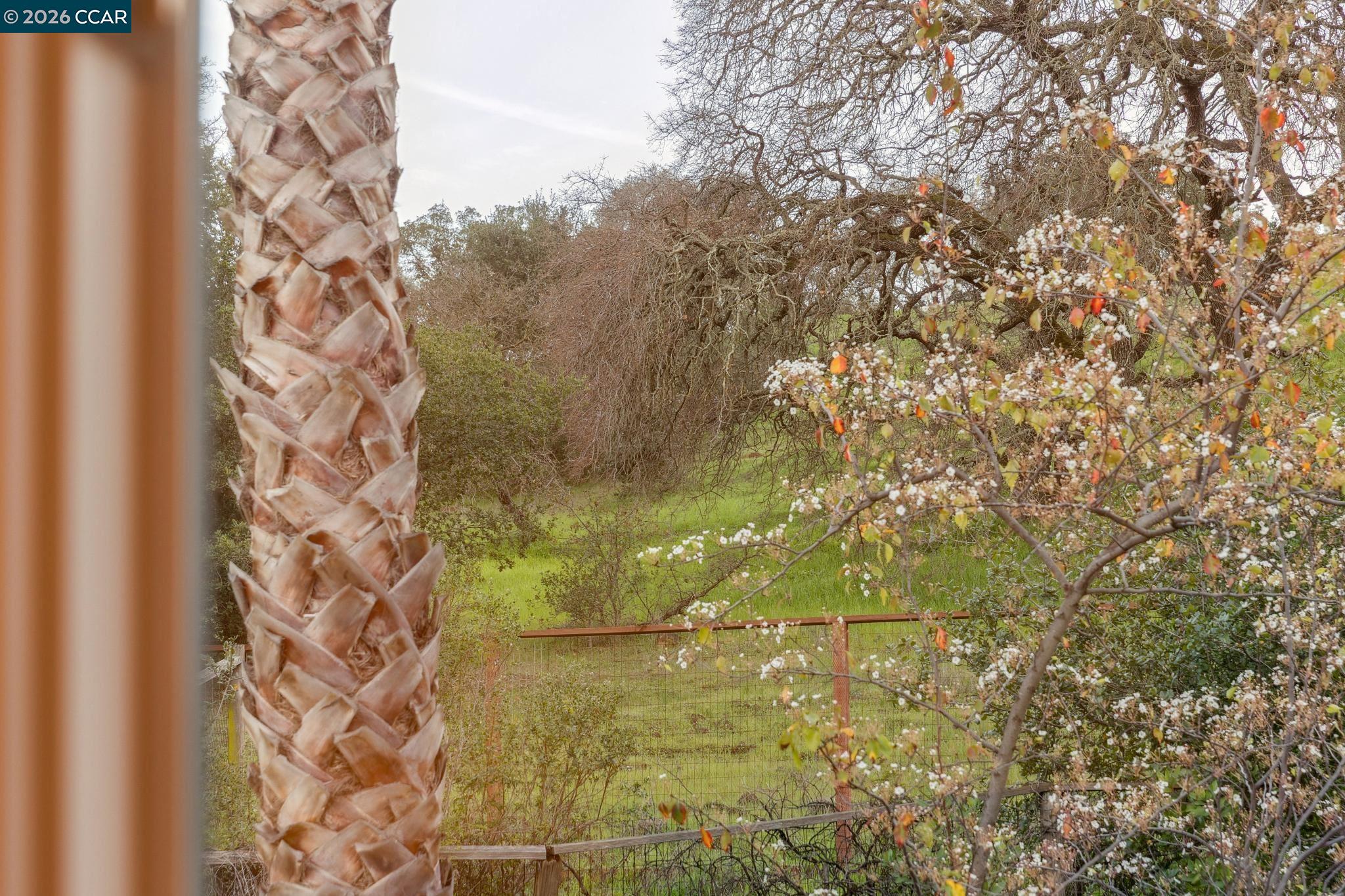 53 Paso Nogal Ct, Pleasant Hill, CA, 94523