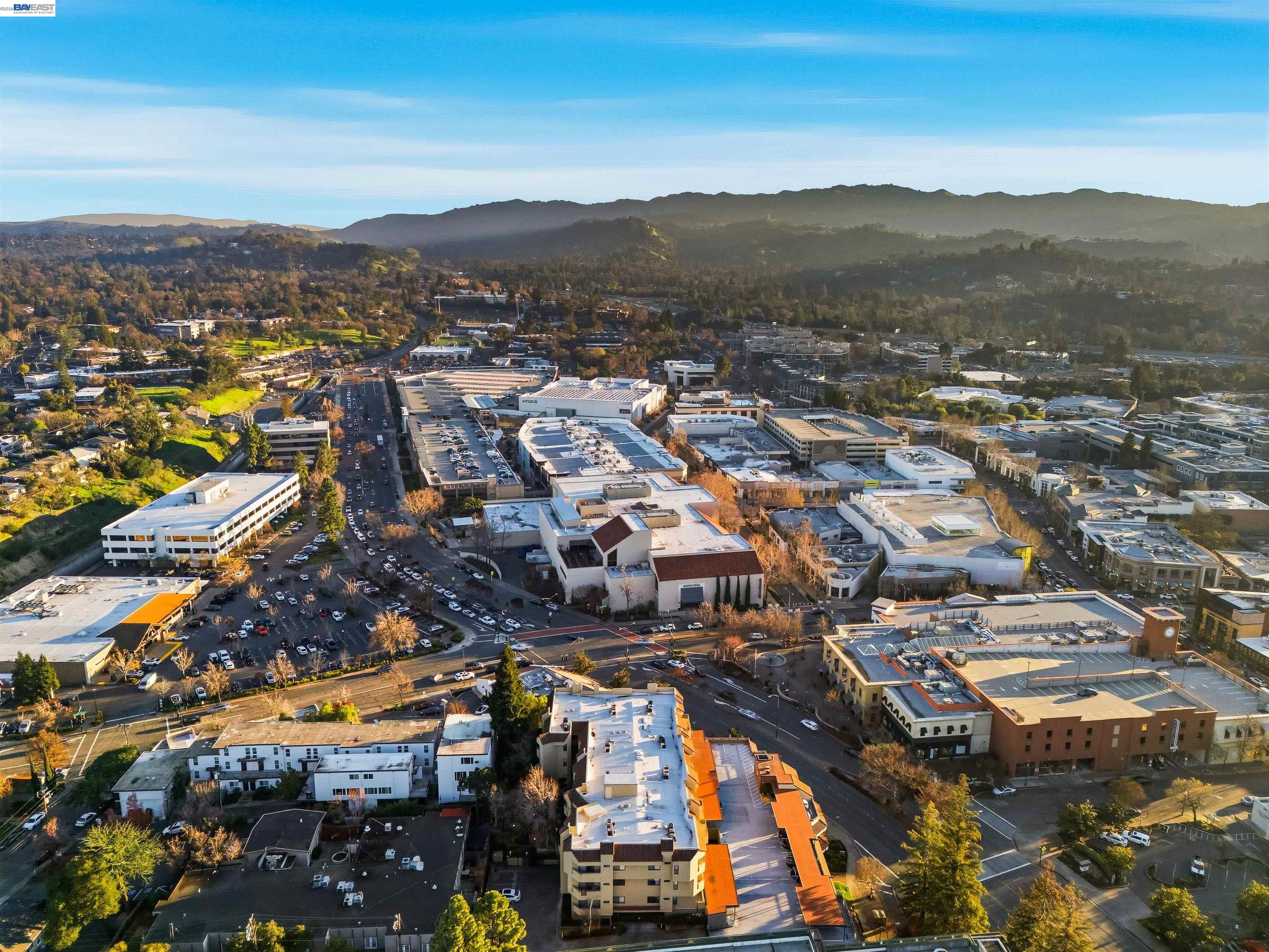 Photo #40: 41121378 Listing: Photo #40