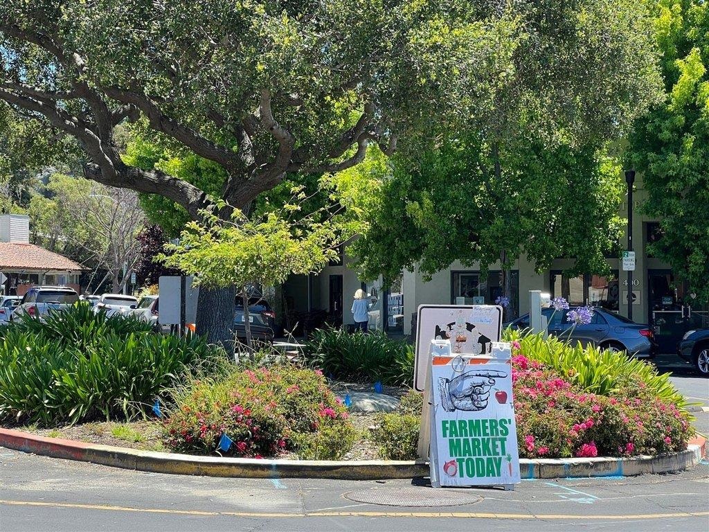 Detail Gallery Image 52 of 59 For 371 Ocean View Ave, Kensington,  CA 94707 - 4 Beds | 2 Baths