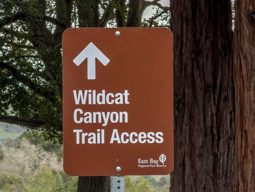 Detail Gallery Image 56 of 59 For 371 Ocean View Ave, Kensington,  CA 94707 - 4 Beds | 2 Baths