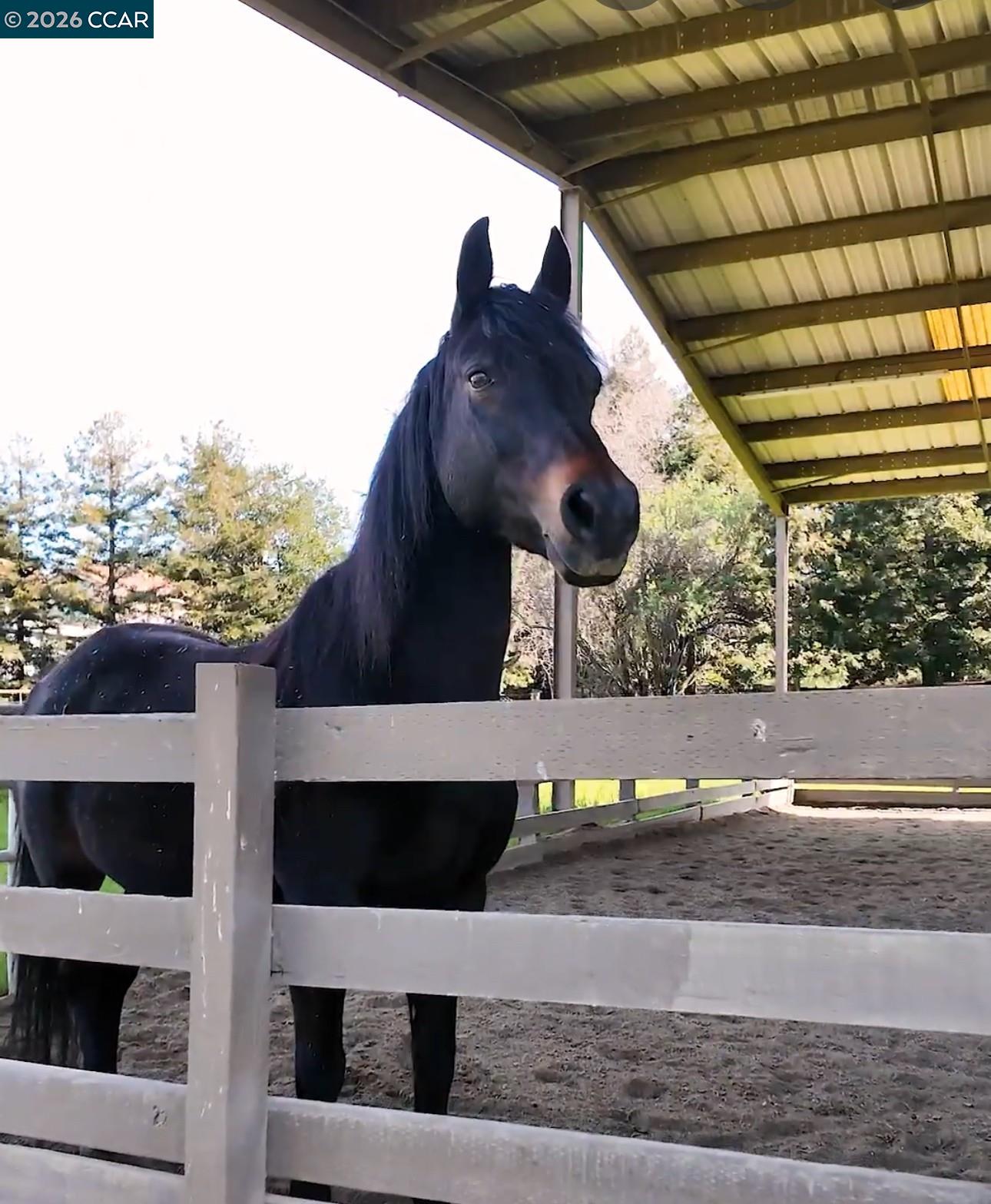 Detail Gallery Image 27 of 32 For 3124 Shire Lane, Walnut Creek,  CA 94598 - 3 Beds | 2 Baths