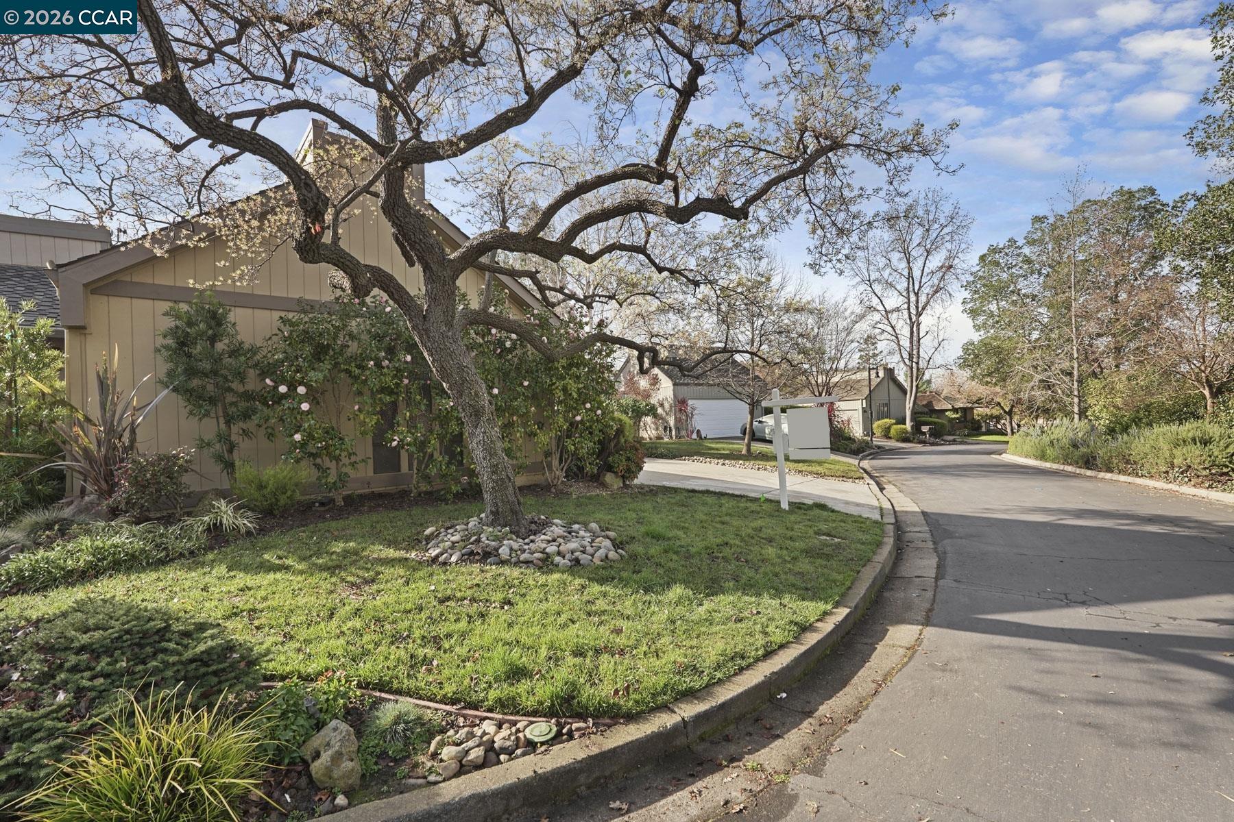 Photo #5: 41121446 Listing: Photo #5