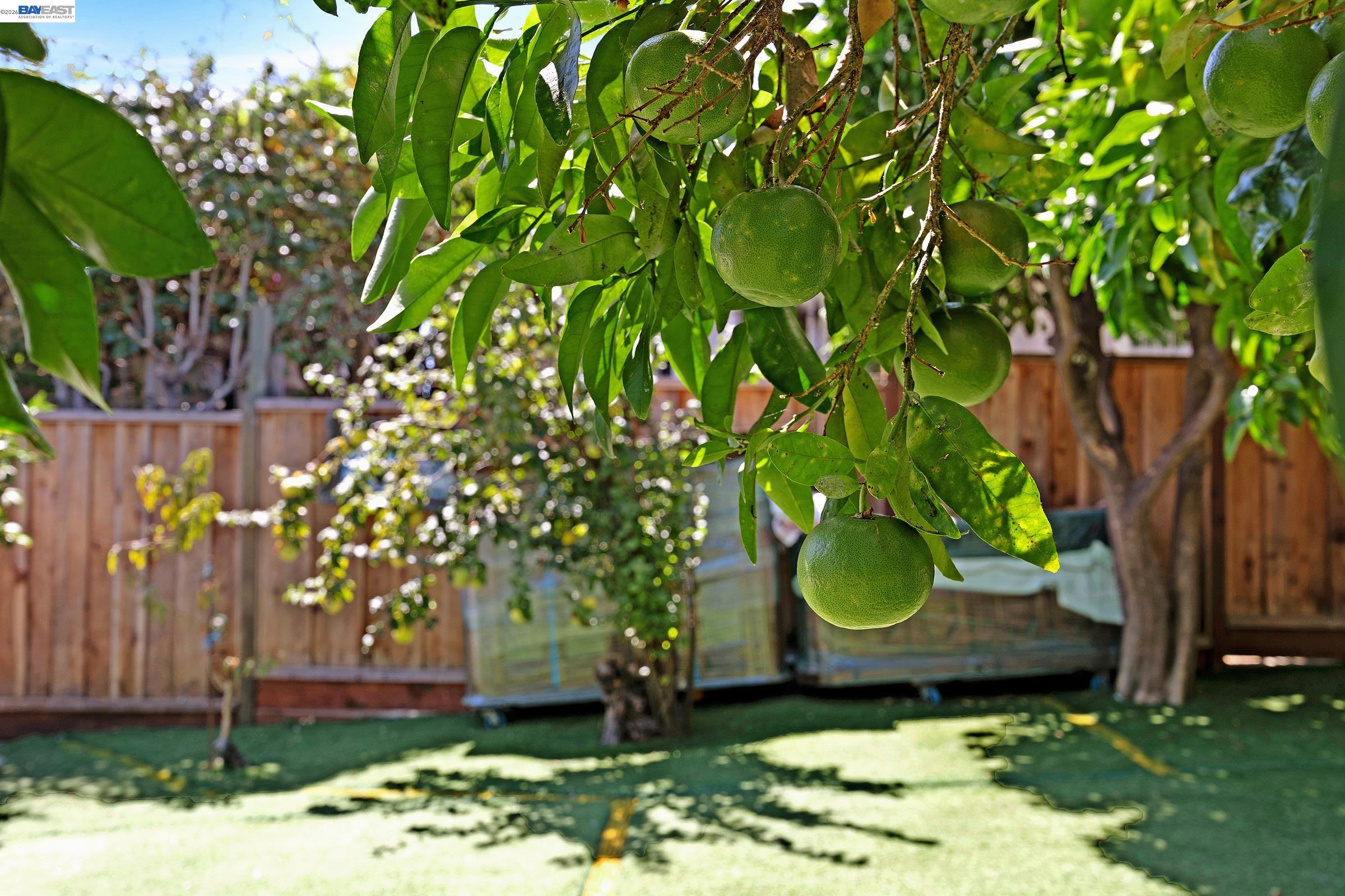 2309 High St, Oakland CA 94601 — photo 34