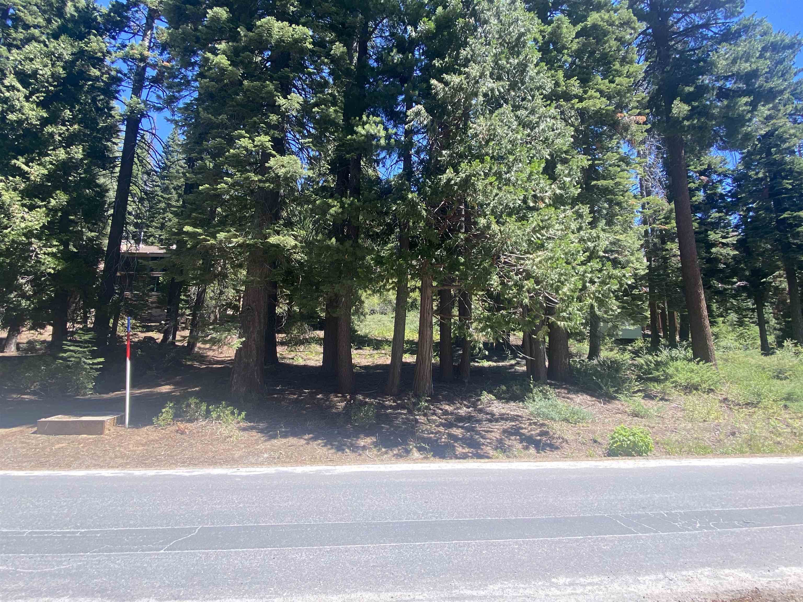 33994 Leland Meadow Rd, Pinecrest CA 95364 — photo 10