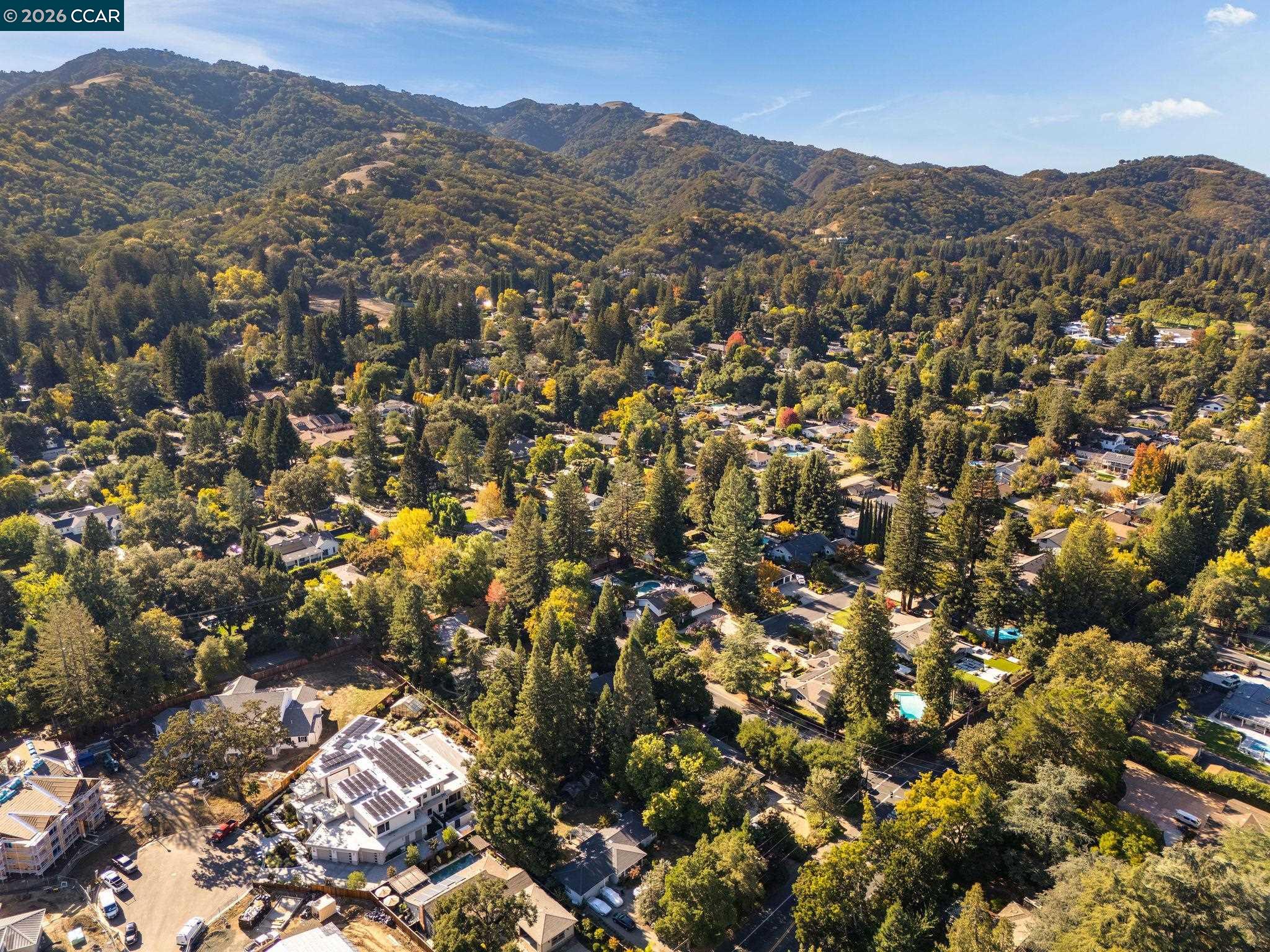 81 Dot Drive, Alamo, CA, 94507