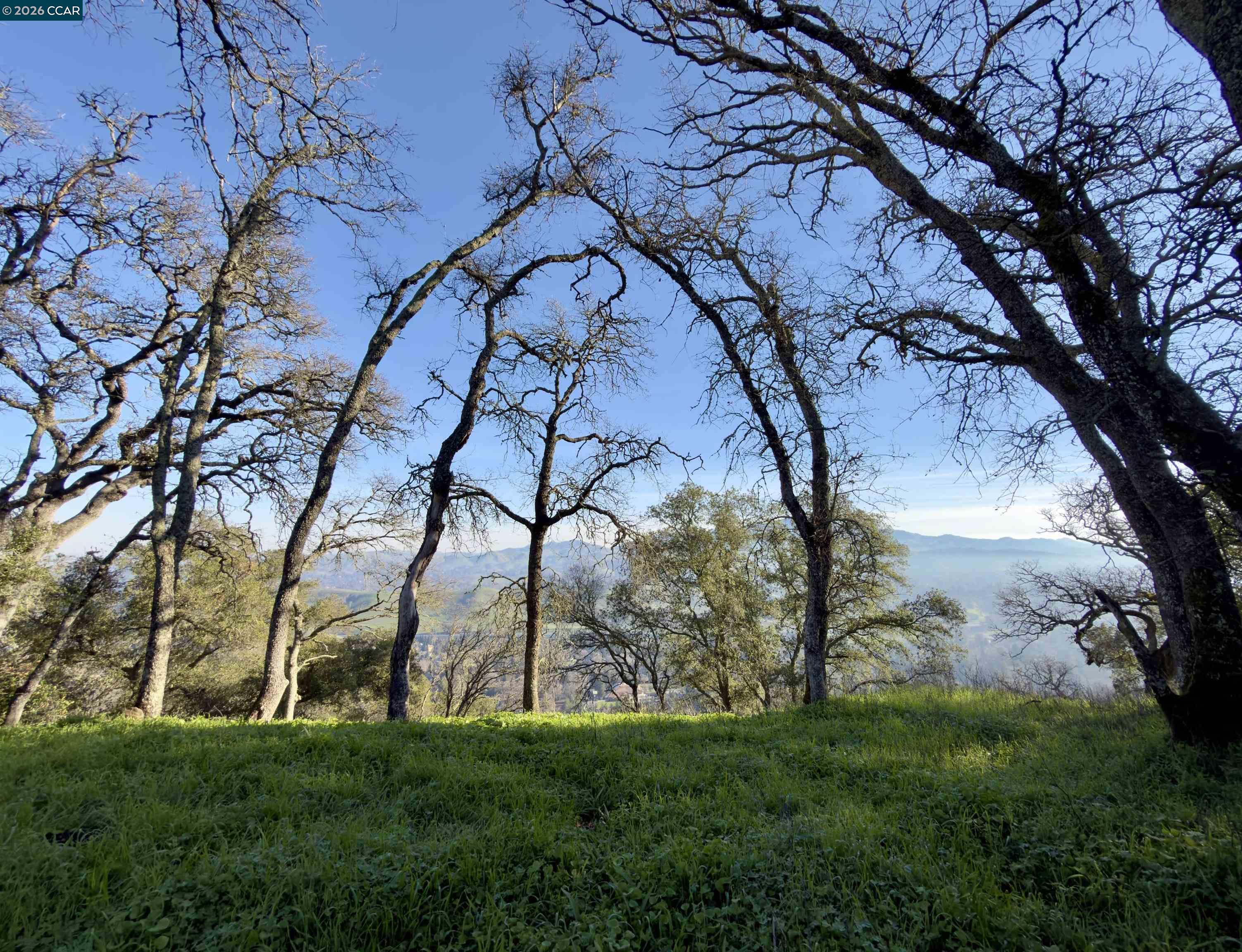 Detail Gallery Image 4 of 17 For 0 Castle Crest Rd, Alamo,  CA 94507 - – Beds | – Baths