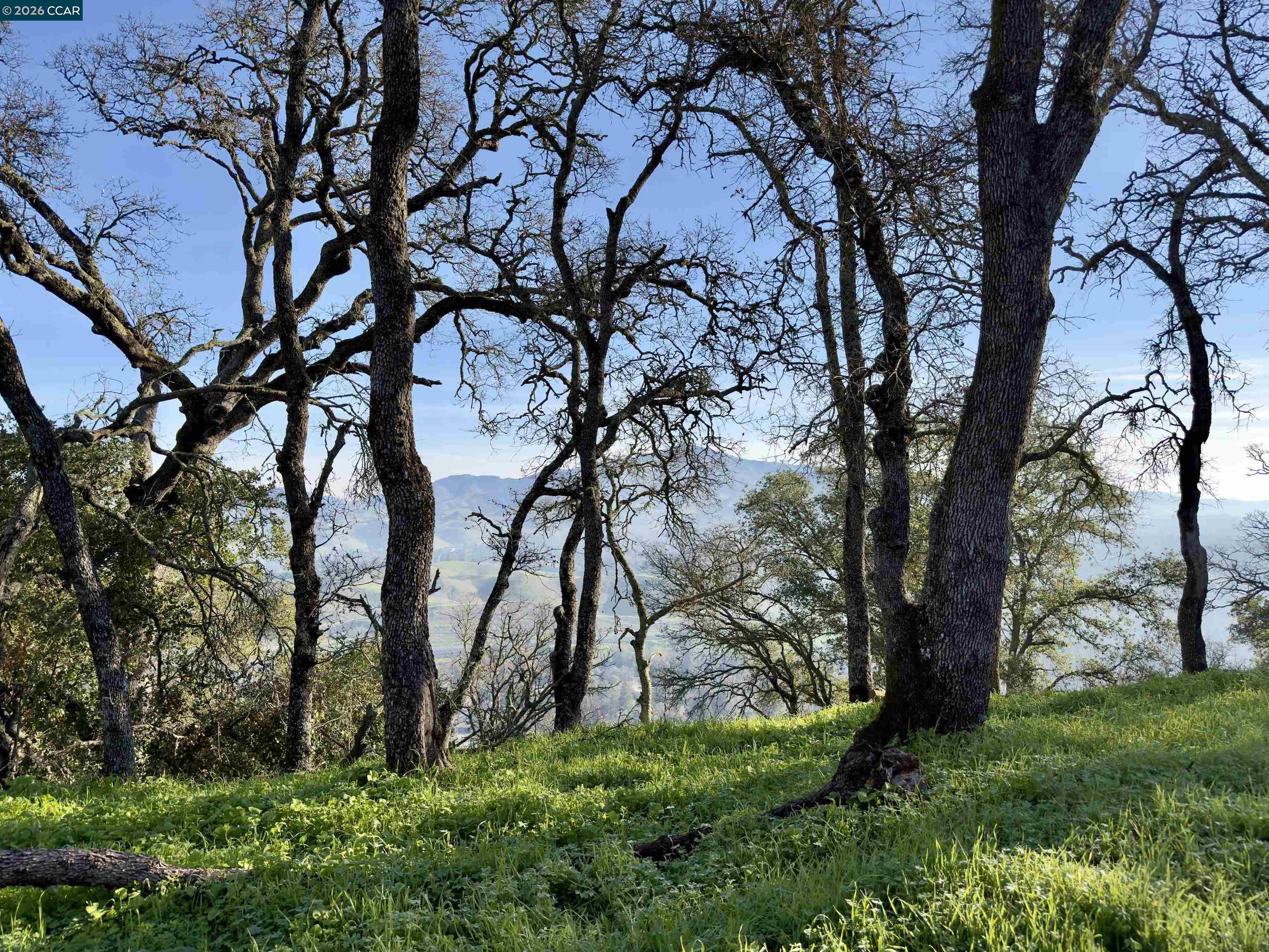 Detail Gallery Image 5 of 17 For 0 Castle Crest Rd, Alamo,  CA 94507 - – Beds | – Baths