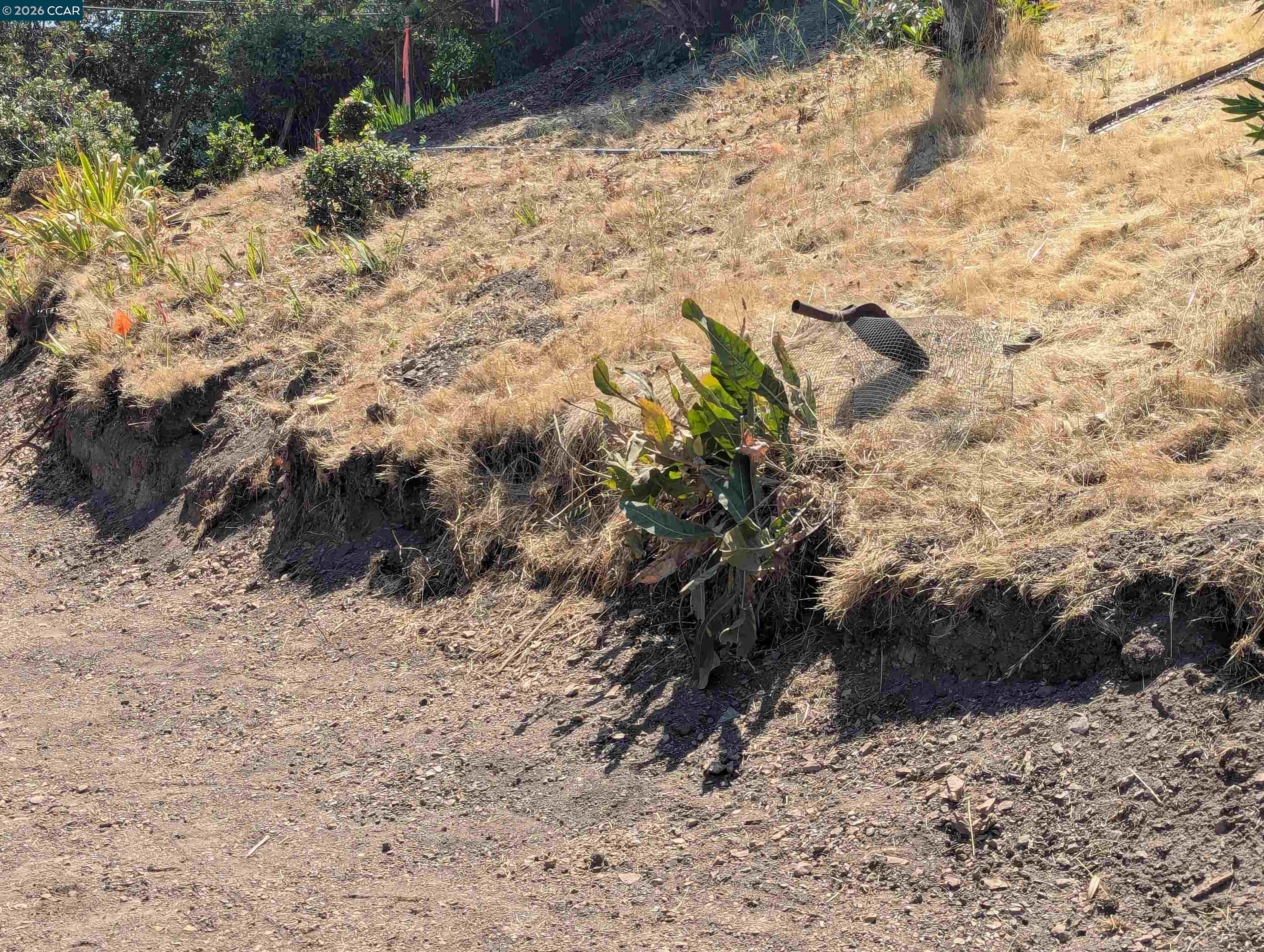 Detail Gallery Image 19 of 34 For 13 St James  Ct., Orinda,  CA 94563 - – Beds | – Baths