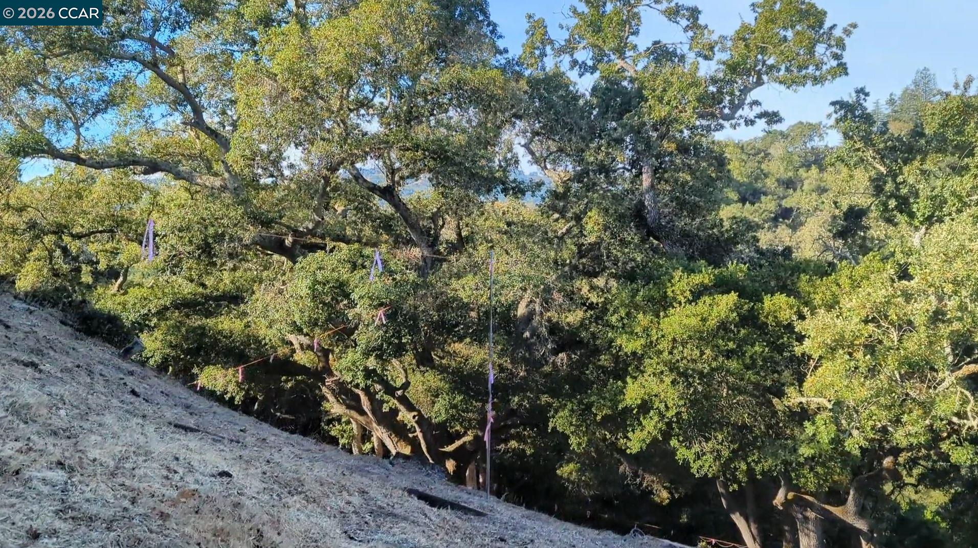 Detail Gallery Image 26 of 34 For 13 St James  Ct., Orinda,  CA 94563 - – Beds | – Baths