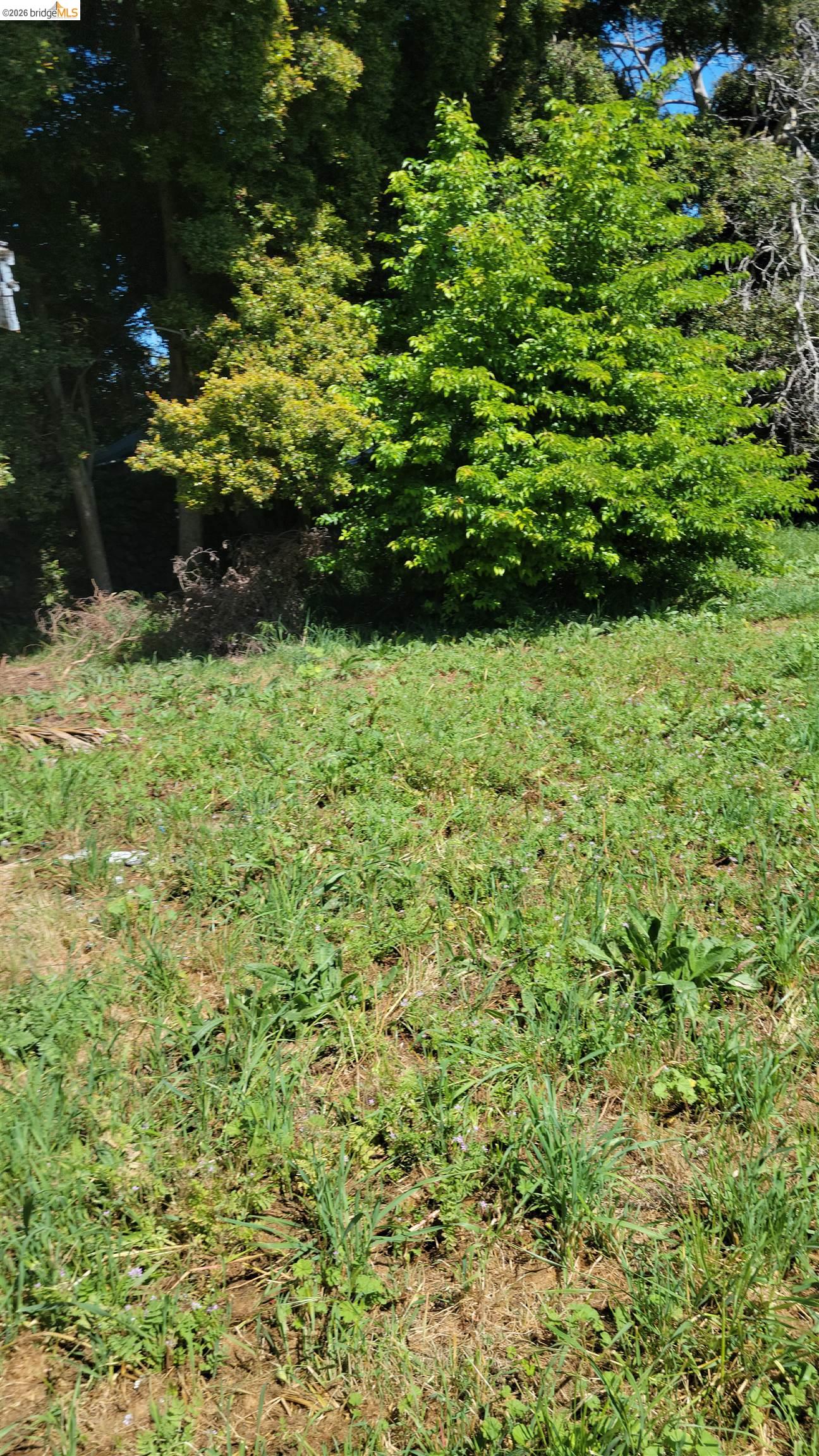 Detail Gallery Image 14 of 16 For 2190 Giant Rd, San Pablo,  CA 94806 - 3 Beds | 1 Baths