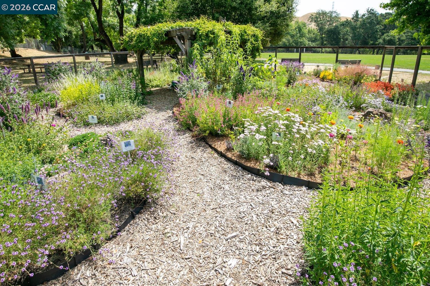 Detail Gallery Image 51 of 51 For 183 Miramonte Dr, Moraga,  CA 94556 - 3 Beds | 3 Baths