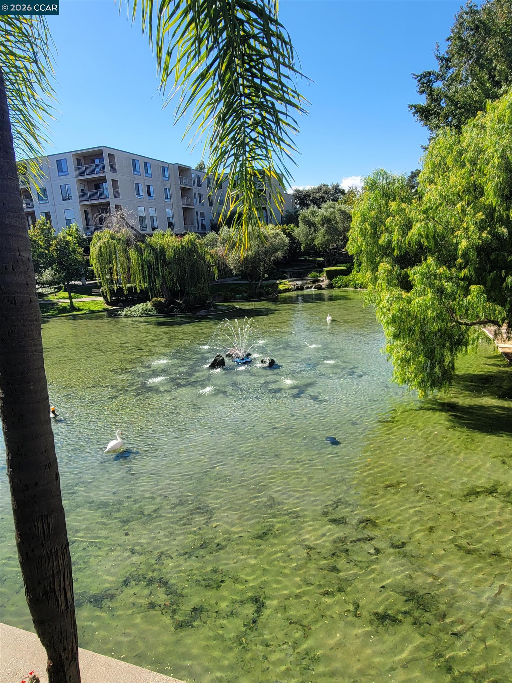 Photo #15: 41121933 Listing: Photo #15