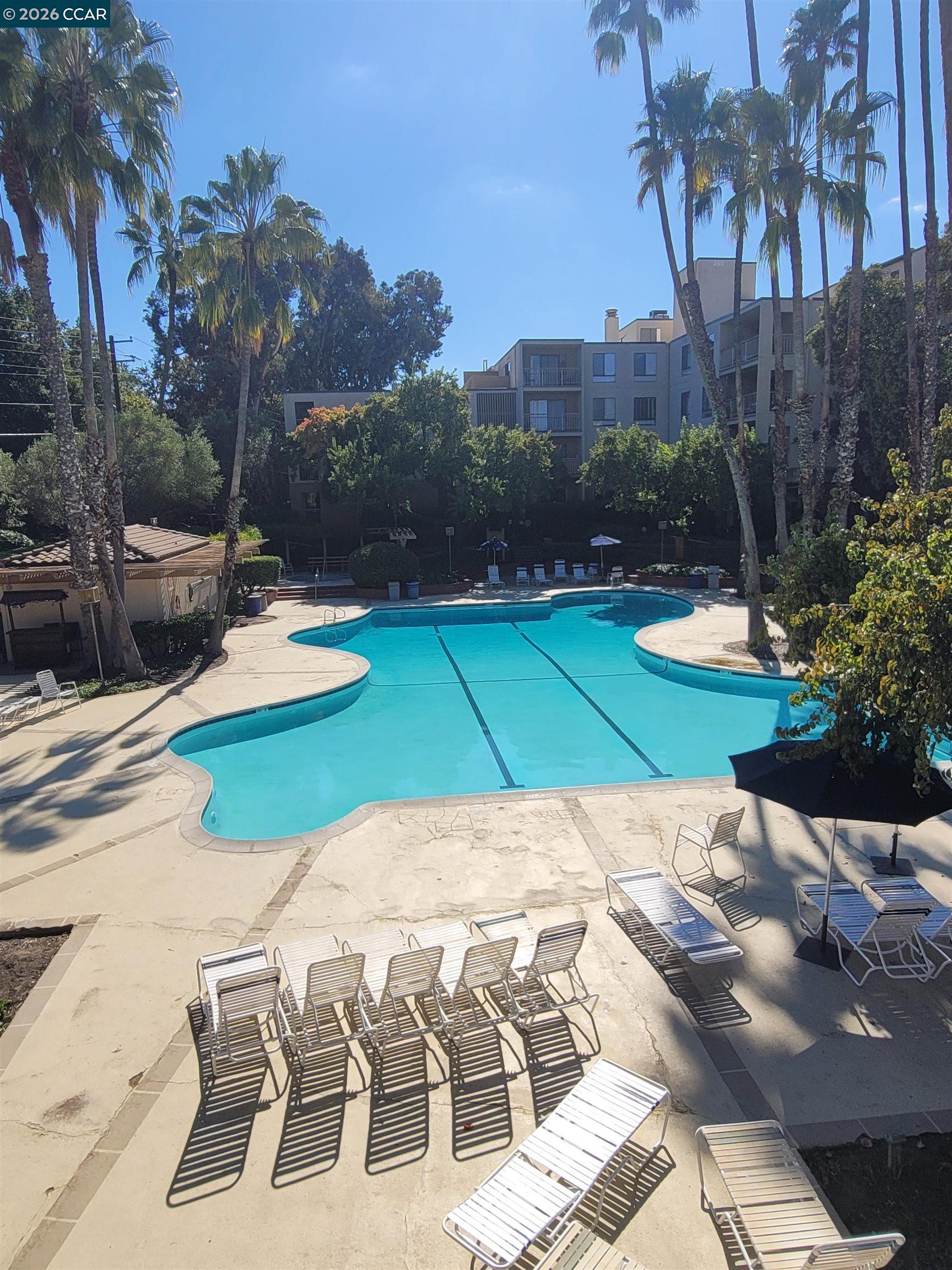 Photo #19: 41121933 Listing: Photo #19