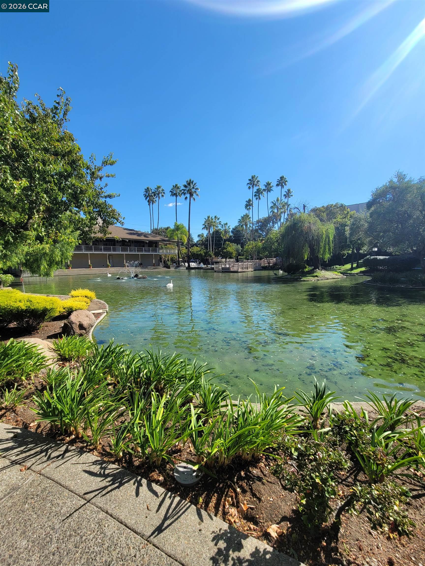 310 Civic Dr. UNIT 315, Walnut Creek, CA, 94597