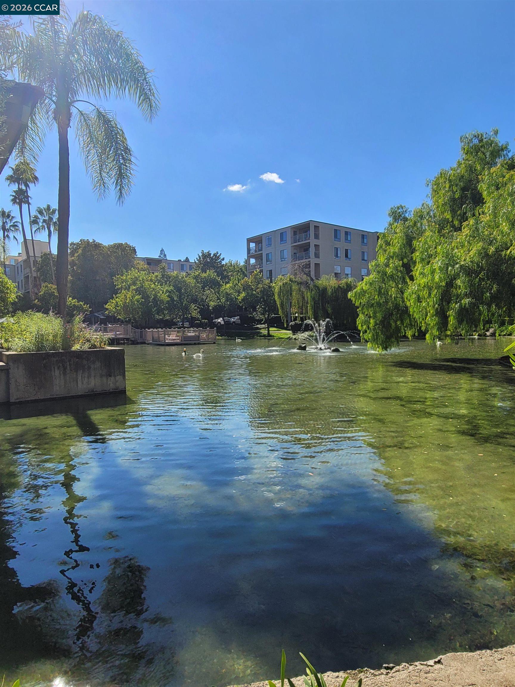 310 N Civic Dr. # 315, Walnut Creek CA 94597 — photo 24