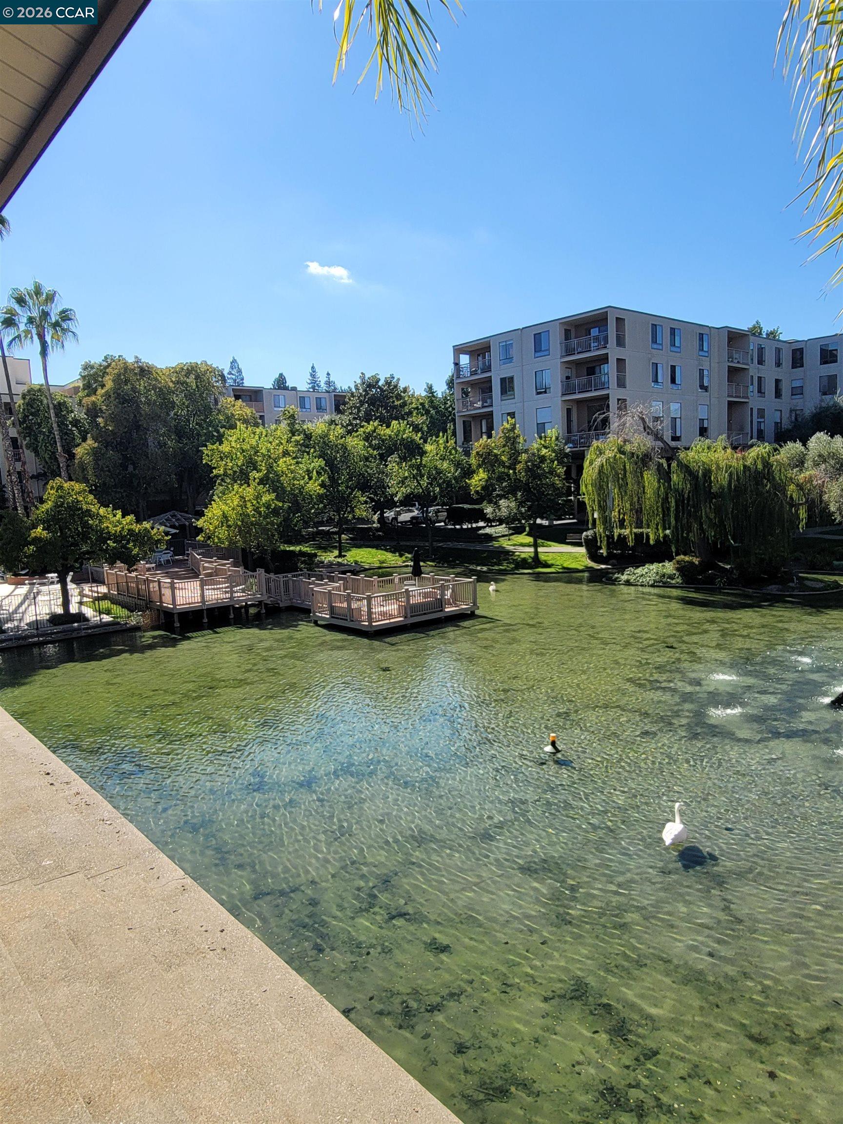 310 N Civic Dr. # 315, Walnut Creek CA 94597 — photo 35