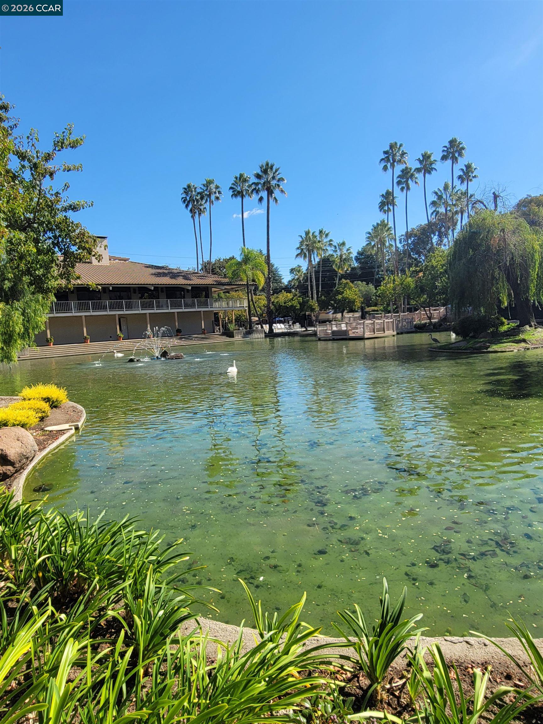 310 Civic Dr. UNIT 315, Walnut Creek, CA, 94597