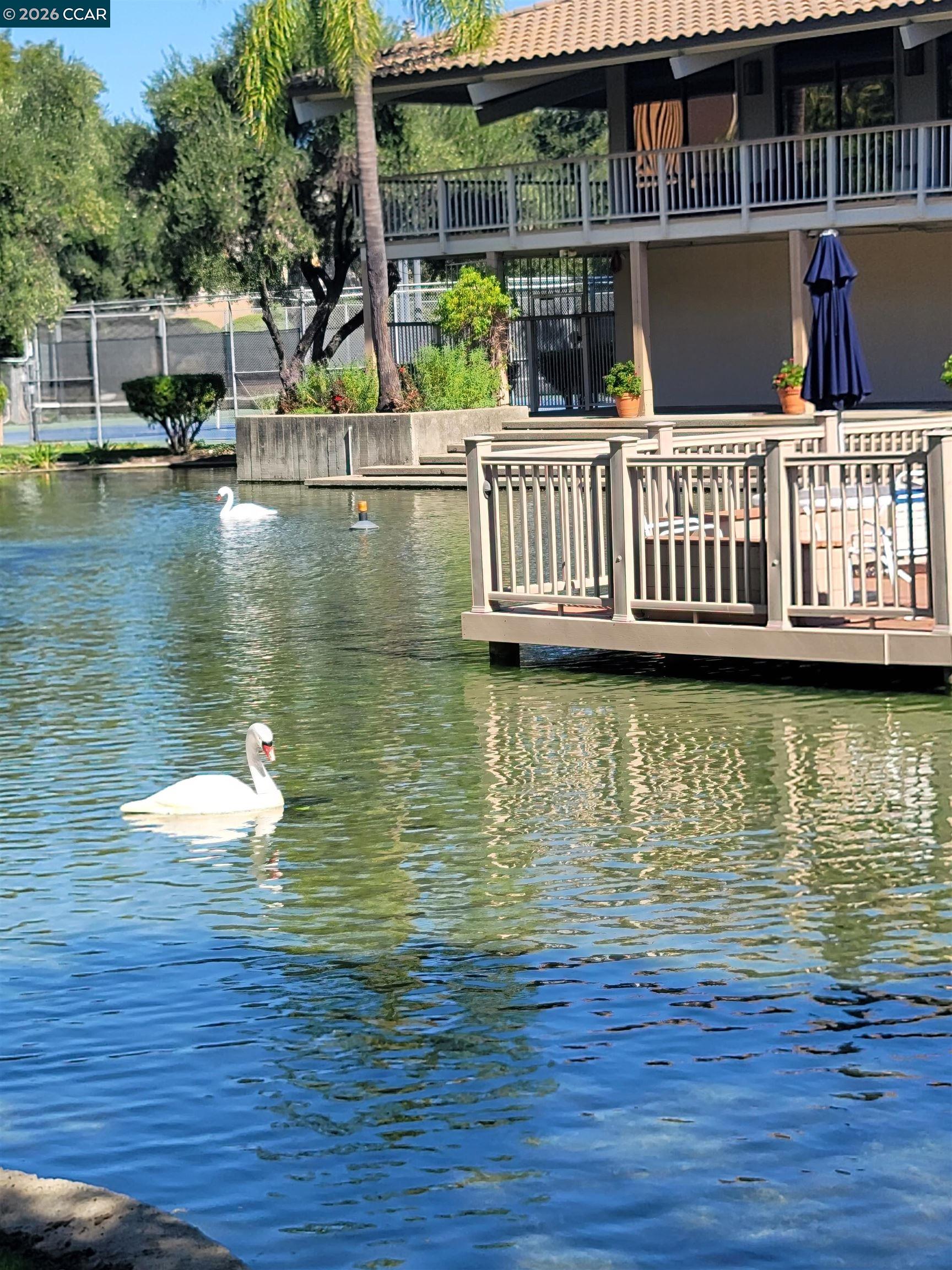 Photo #45: 41121933 Listing: Photo #45