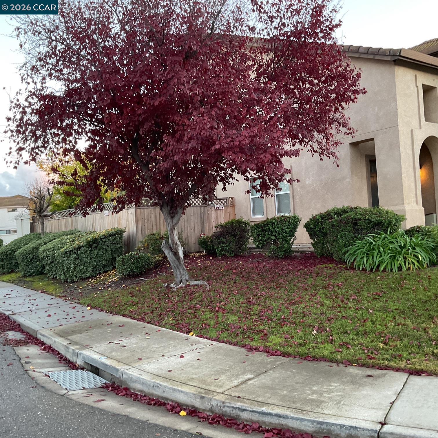 Detail Gallery Image 5 of 27 For 2096 Goldpine Way, Antioch,  CA 94509 - 5 Beds | 3 Baths