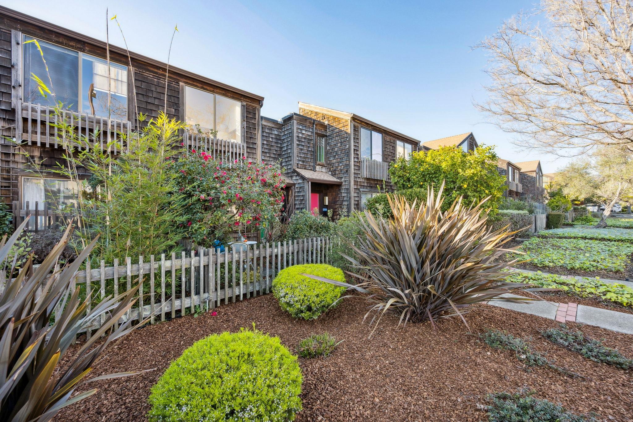 Detail Gallery Image 31 of 35 For 1372 Henry Street, Berkeley,  CA 94709-1929 - 2 Beds | 1/1 Baths