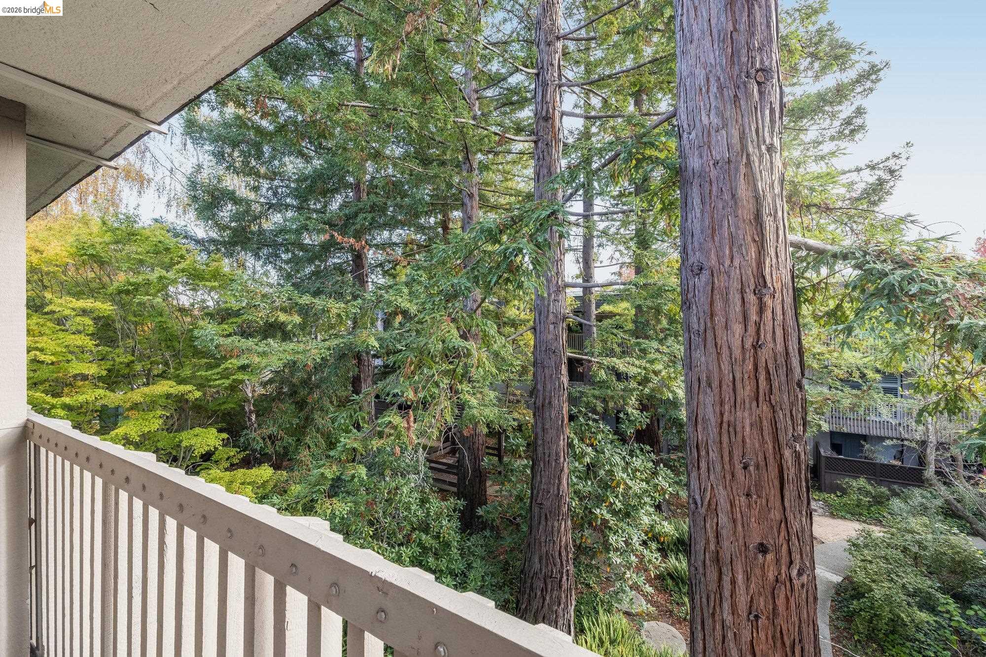 Detail Gallery Image 12 of 54 For 1332 Shelter Creek Ln, San Bruno,  CA 94066 - 0 Beds | 1 Baths