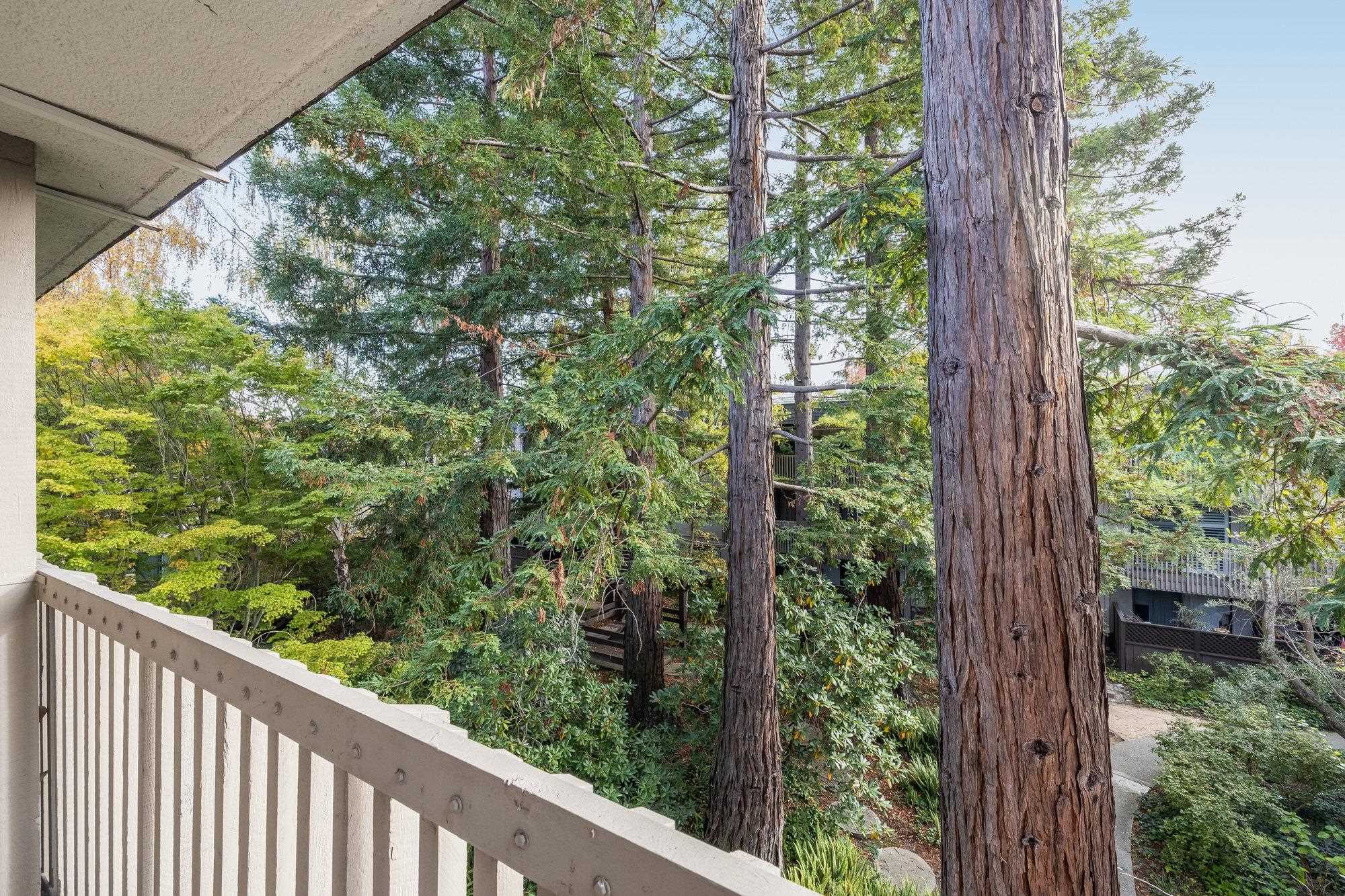 Detail Gallery Image 13 of 54 For 1332 Shelter Creek Ln, San Bruno,  CA 94066 - 0 Beds | 1 Baths