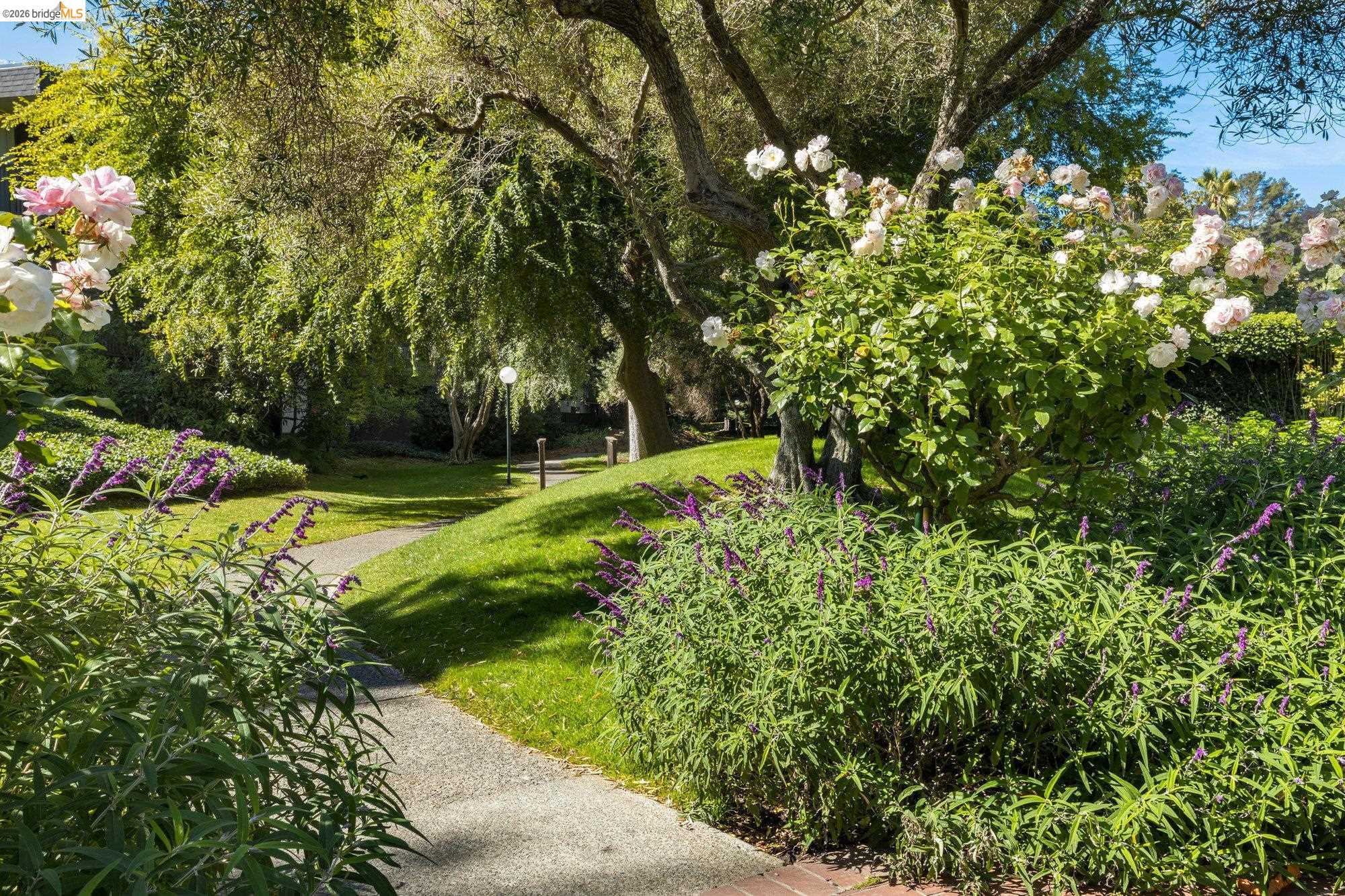 Detail Gallery Image 36 of 54 For 1332 Shelter Creek Ln, San Bruno,  CA 94066 - 0 Beds | 1 Baths