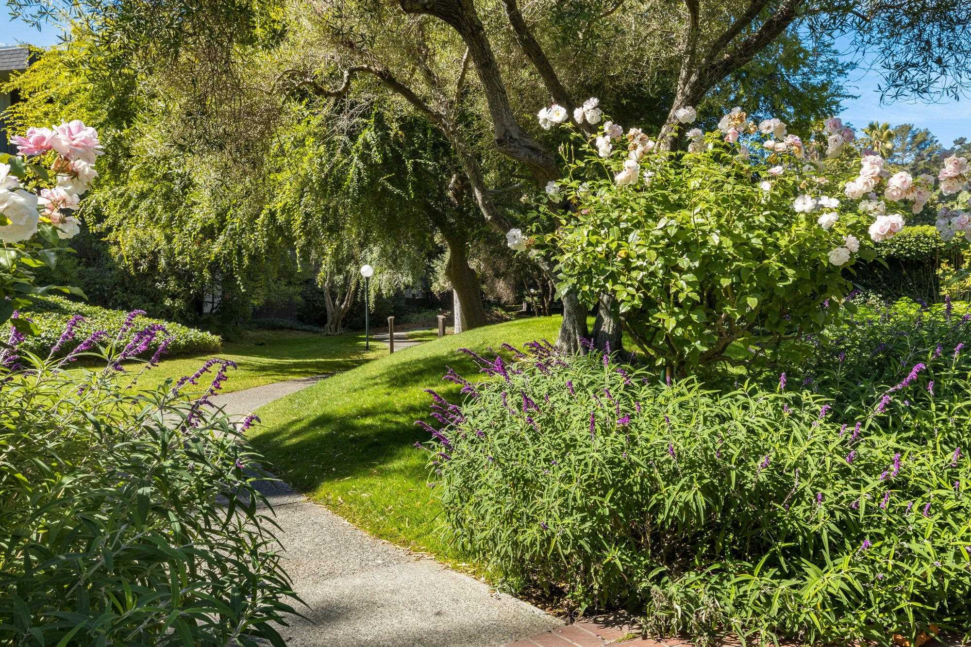 Detail Gallery Image 36 of 54 For 1332 Shelter Creek Ln, San Bruno,  CA 94066 - 0 Beds | 1 Baths