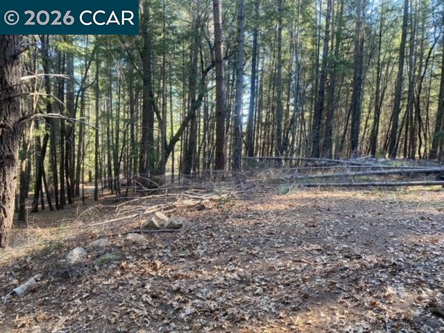 9471 Wildcat Rd, Kelseyville CA 95451 — photo 13
