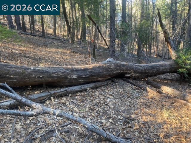 9471 Wildcat Rd, Kelseyville CA 95451 — photo 5