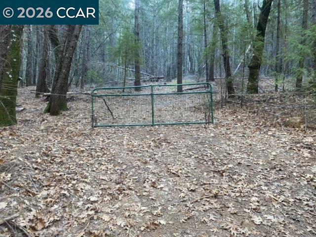 9471 Wildcat Rd, Kelseyville CA 95451 — photo 9
