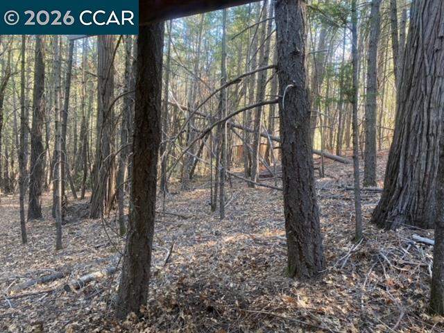 9471 Wildcat Rd, Kelseyville CA 95451 — photo 10
