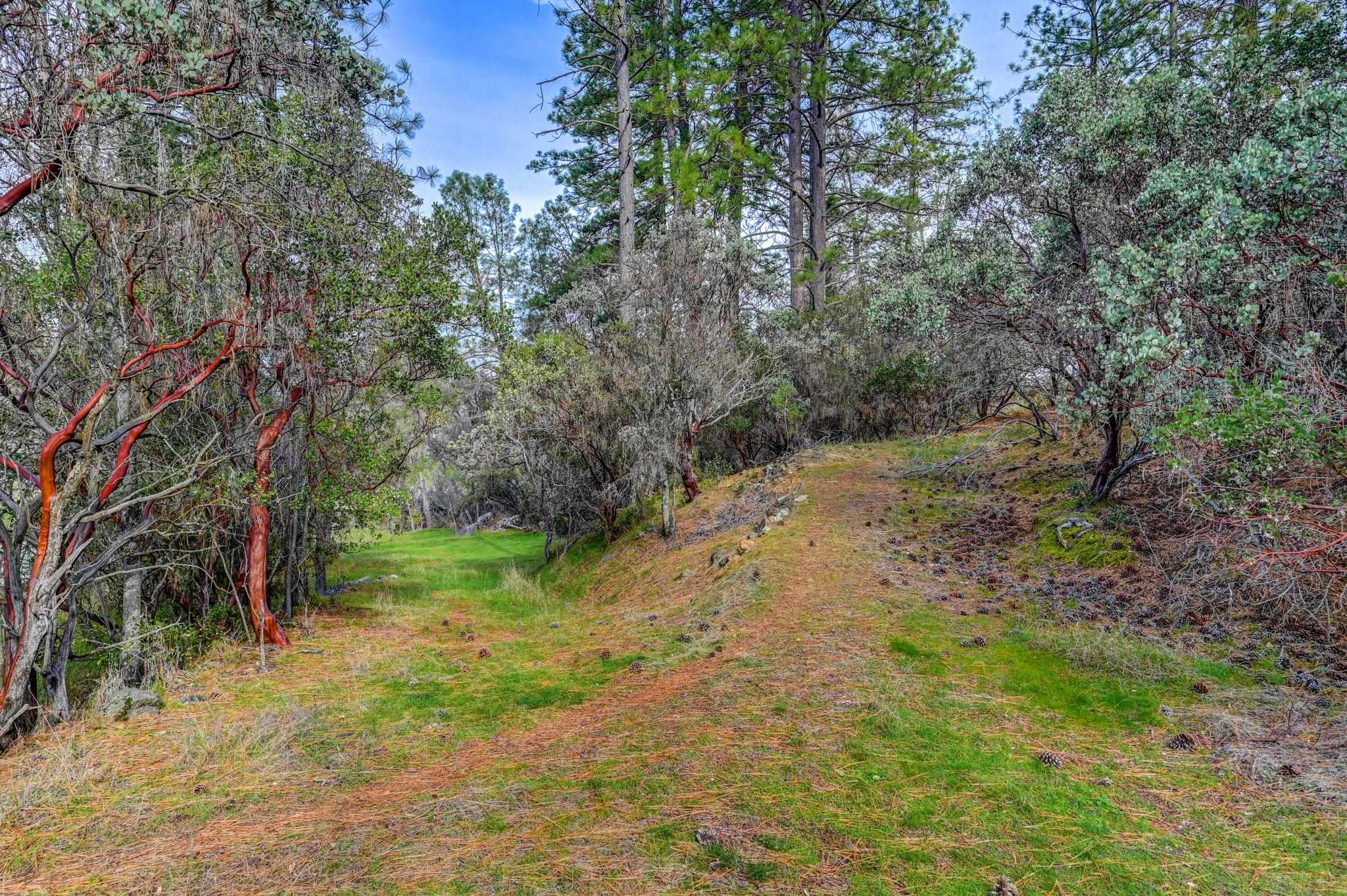22517 Parrotts Ferry Road, Columbia CA 95310 — photo 26