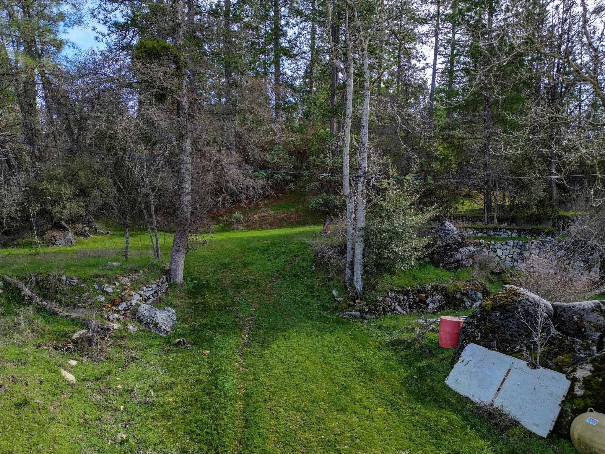 22517 Parrotts Ferry Road, Columbia CA 95310 — photo 7