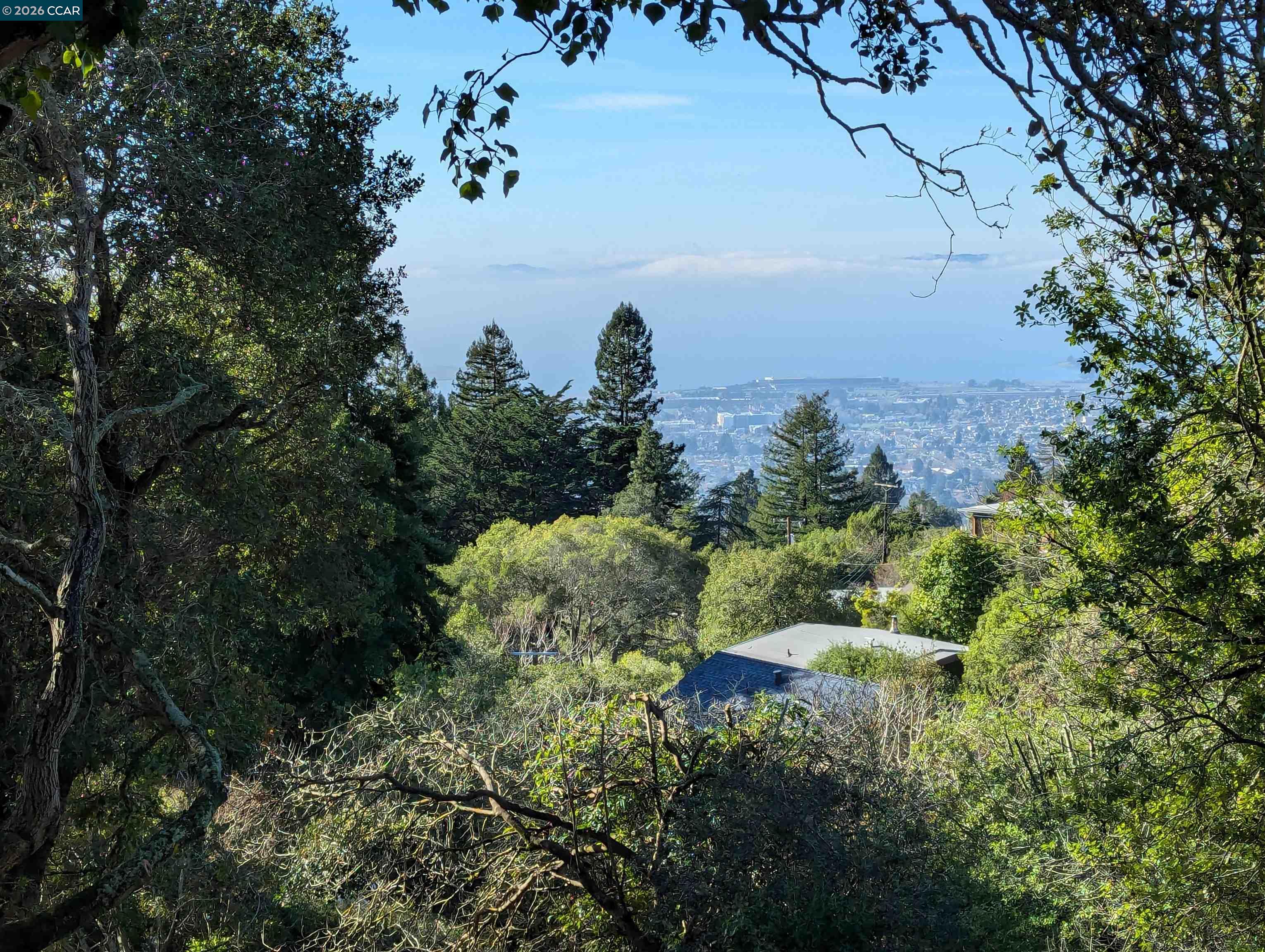 Detail Gallery Image 9 of 25 For 1110 Sterling Ave, Berkeley,  CA 94708 - – Beds | – Baths