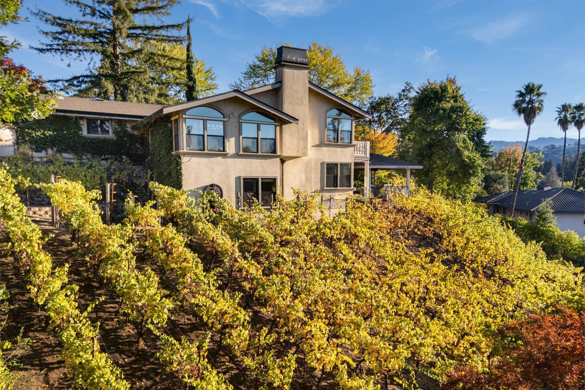 Detail Gallery Image 34 of 48 For 13 Kemp Ct, Alamo,  CA 94507 - 5 Beds | 3/1 Baths