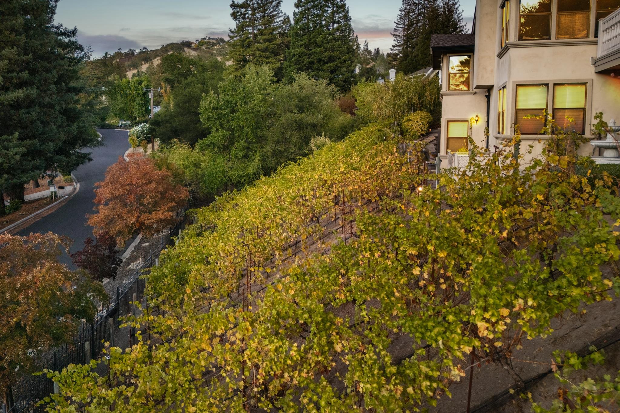 Detail Gallery Image 37 of 48 For 13 Kemp Ct, Alamo,  CA 94507 - 5 Beds | 3/1 Baths