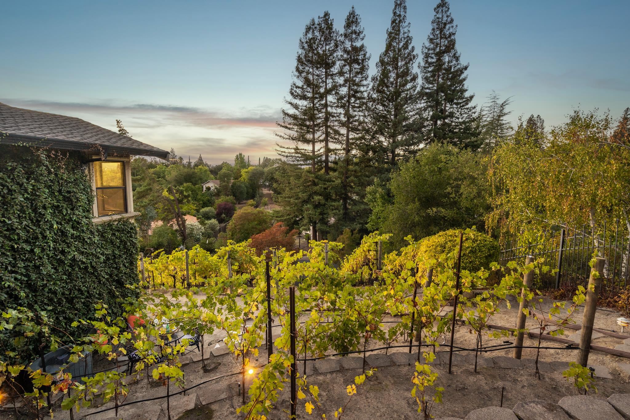 Detail Gallery Image 39 of 48 For 13 Kemp Ct, Alamo,  CA 94507 - 5 Beds | 3/1 Baths