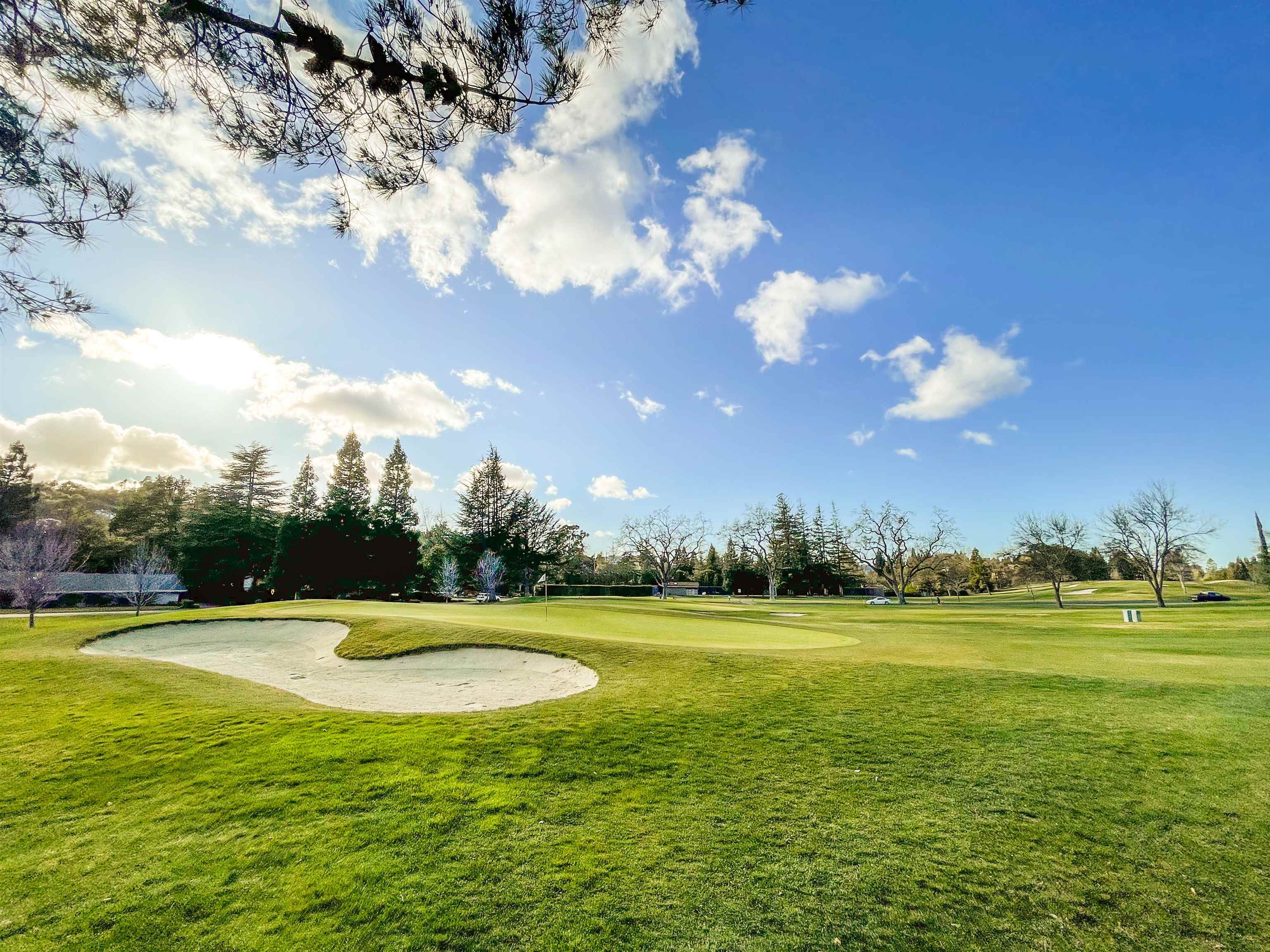 Detail Gallery Image 46 of 48 For 13 Kemp Ct, Alamo,  CA 94507 - 5 Beds | 3/1 Baths