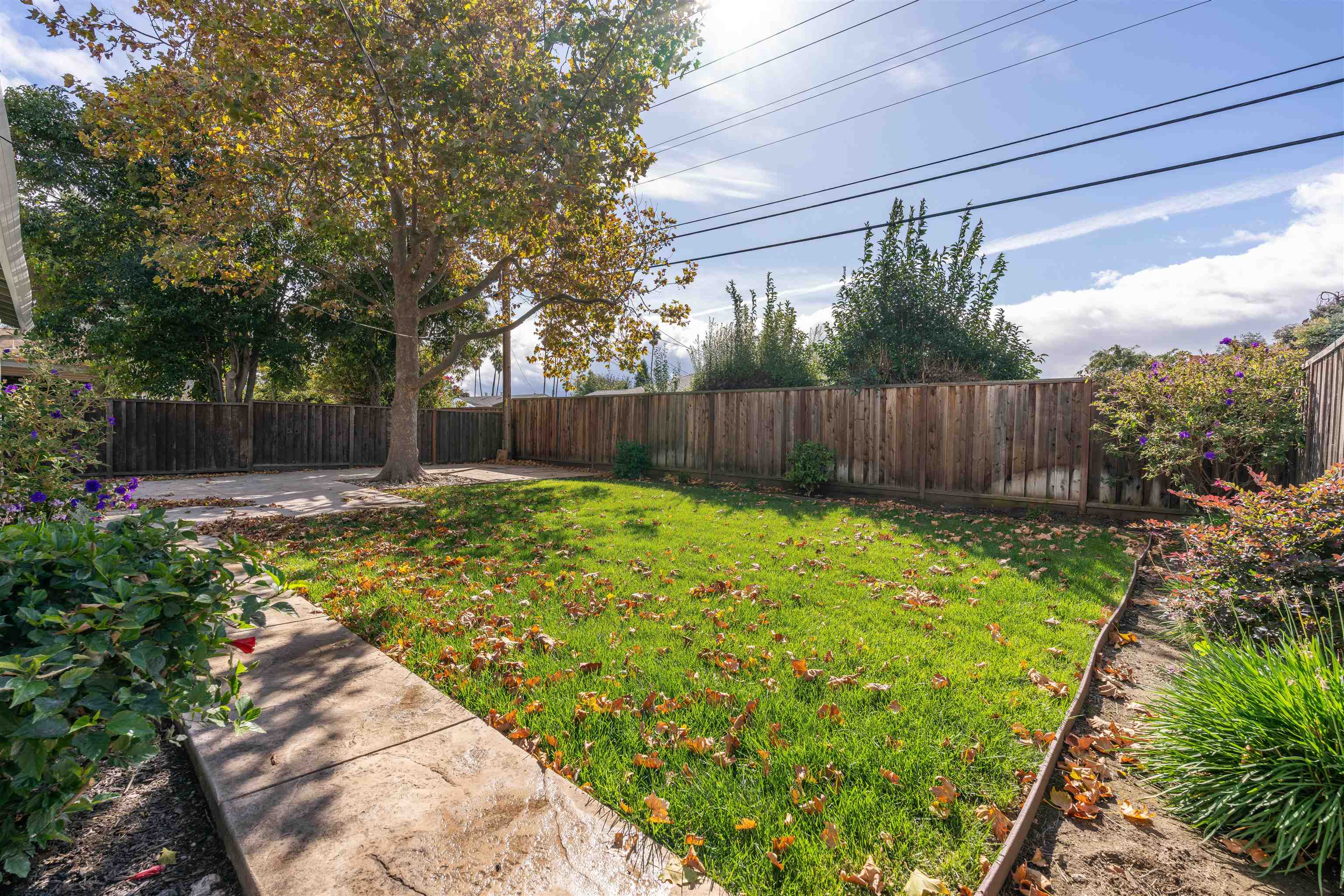 39151 Donner Way photo 9