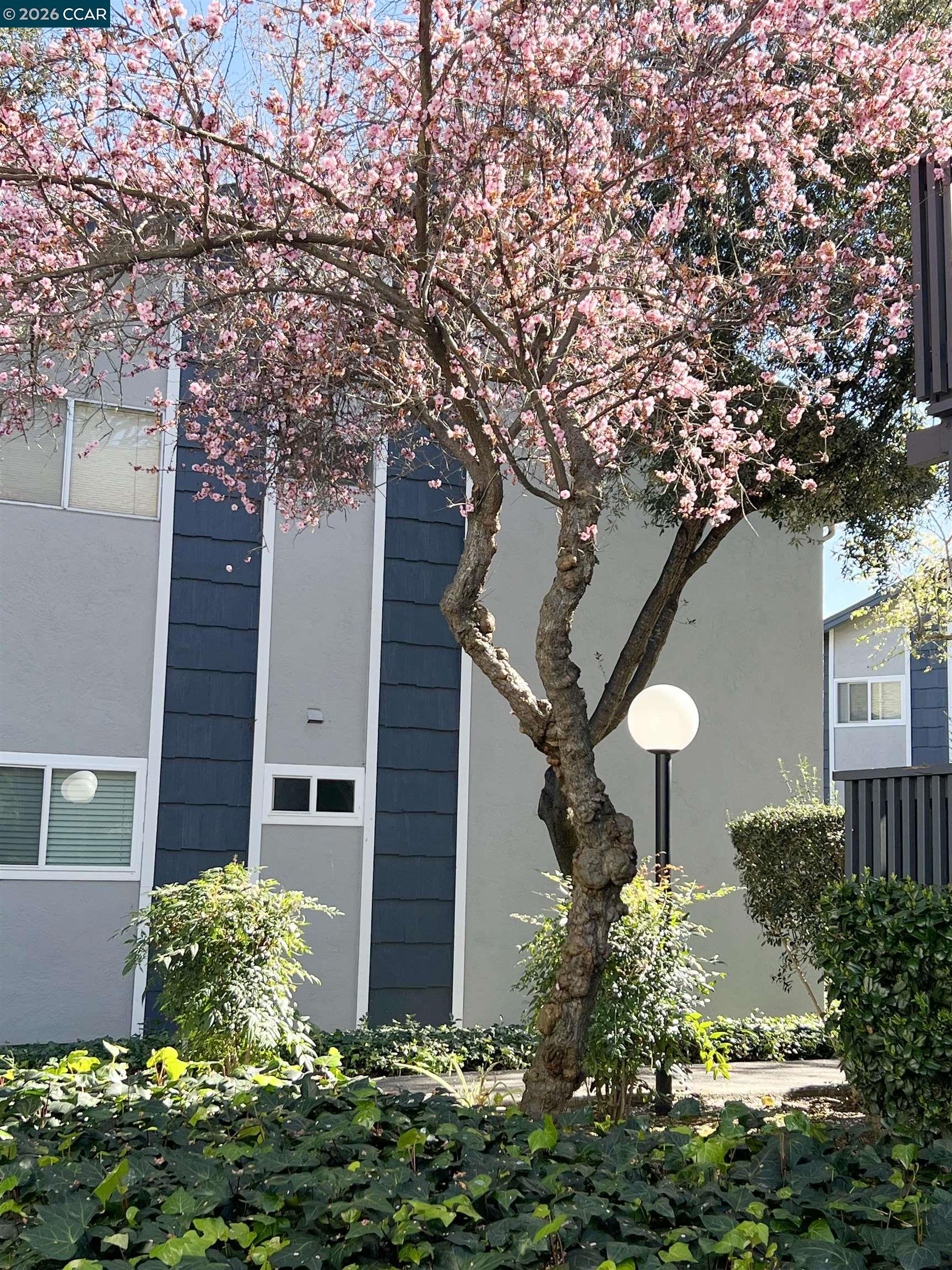 Detail Gallery Image 12 of 14 For 9085 Alcosta Blvd #424,  San Ramon,  CA 94583 - 2 Beds | 1 Baths