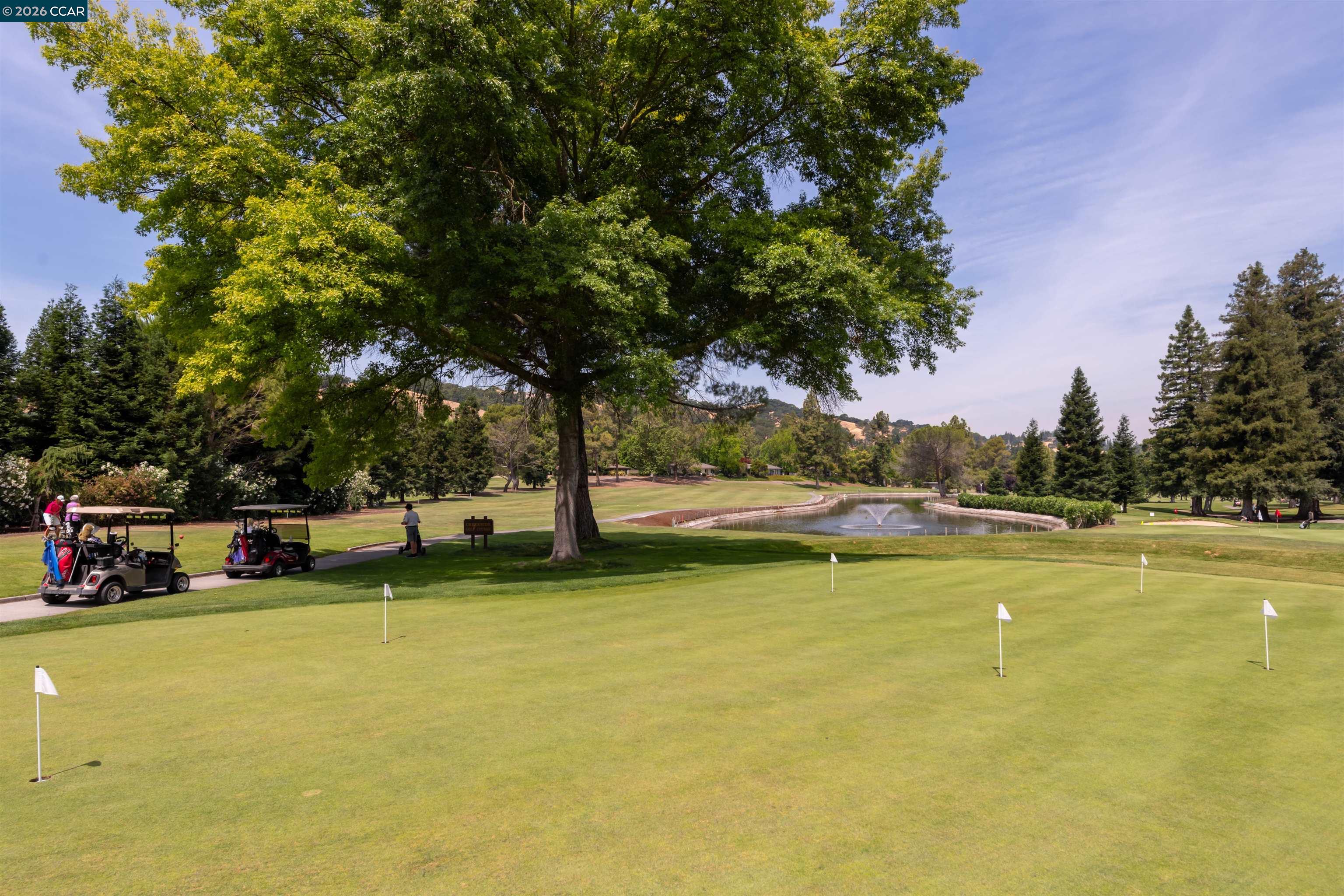 Photo #43: 41122144 Listing: Photo #43