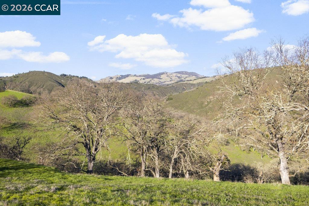 0 Caballo Ranchero, Diablo CA 94528 — photo 10