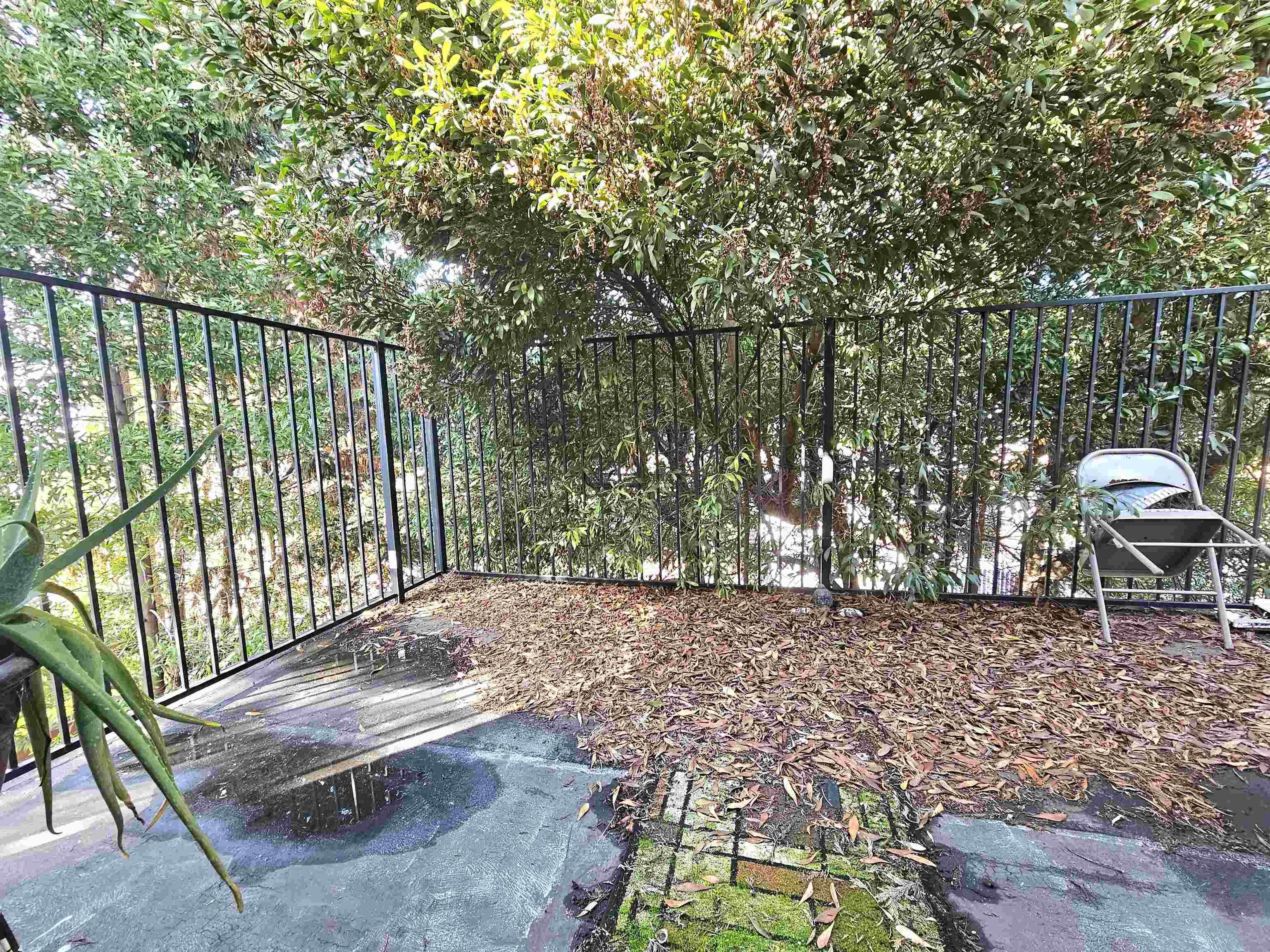 Detail Gallery Image 15 of 29 For 2443 Grande Vista Ave, Oakland,  CA 94601 - – Beds | – Baths