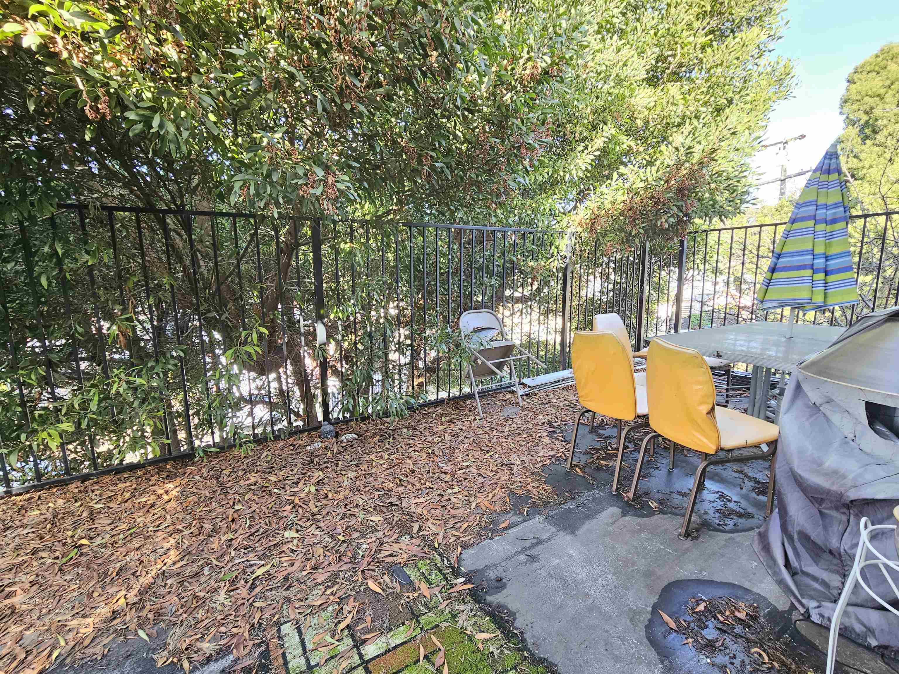 Detail Gallery Image 16 of 29 For 2443 Grande Vista Ave, Oakland,  CA 94601 - – Beds | – Baths